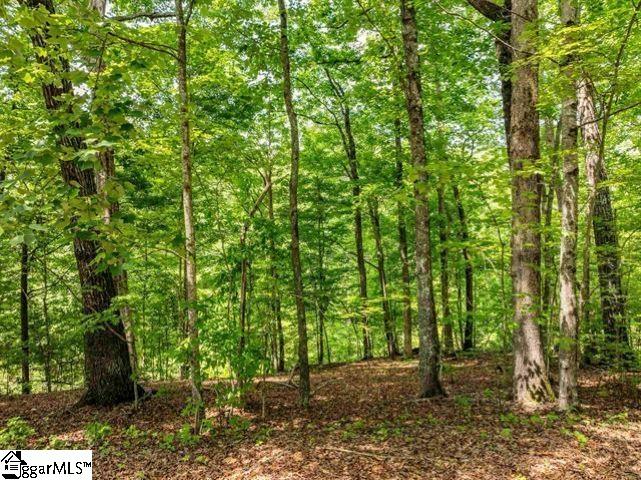 67 & 68 Wildflower Lane Property Photo 6