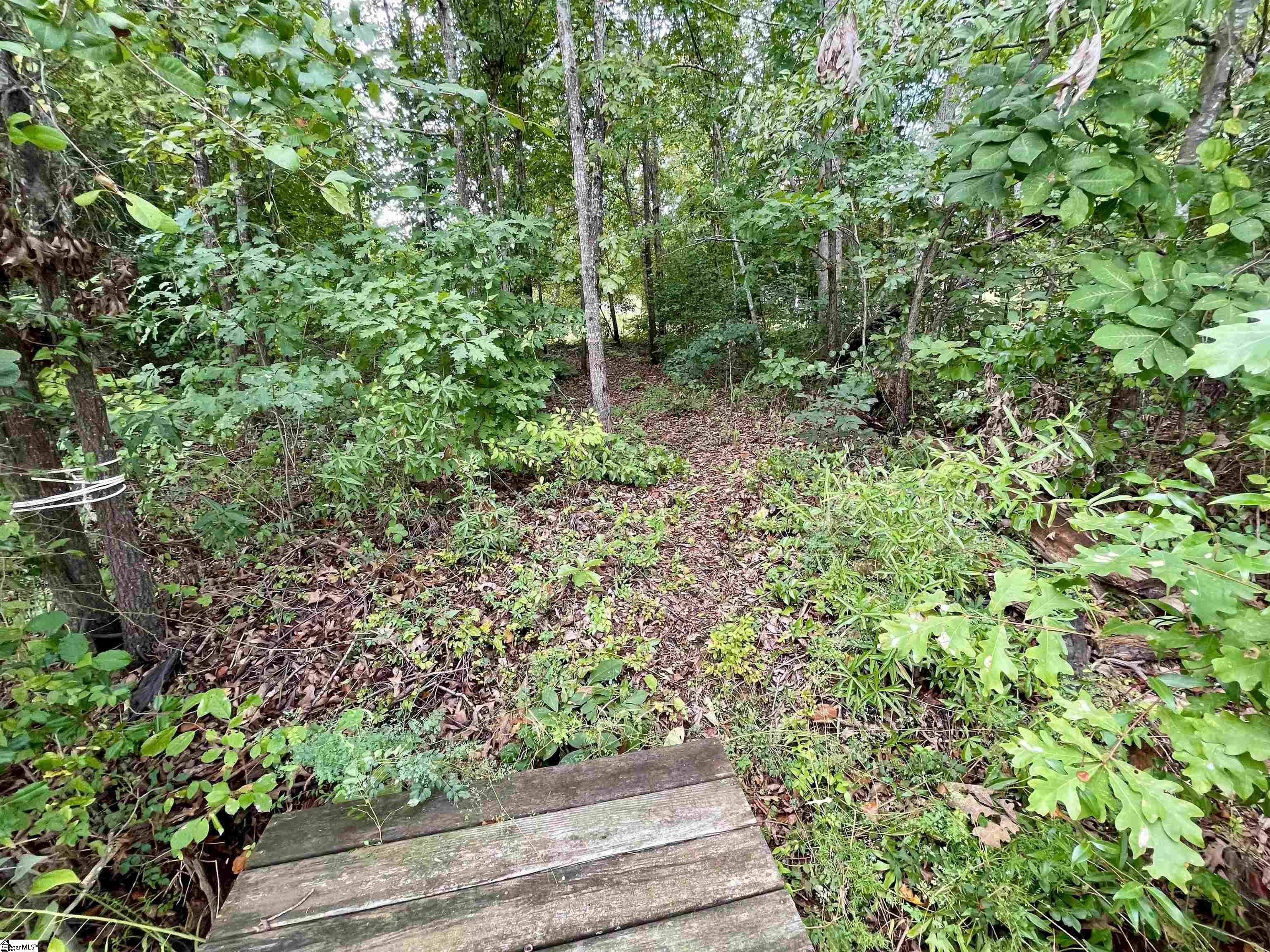 136 Heartleaf Way Property Photo 3