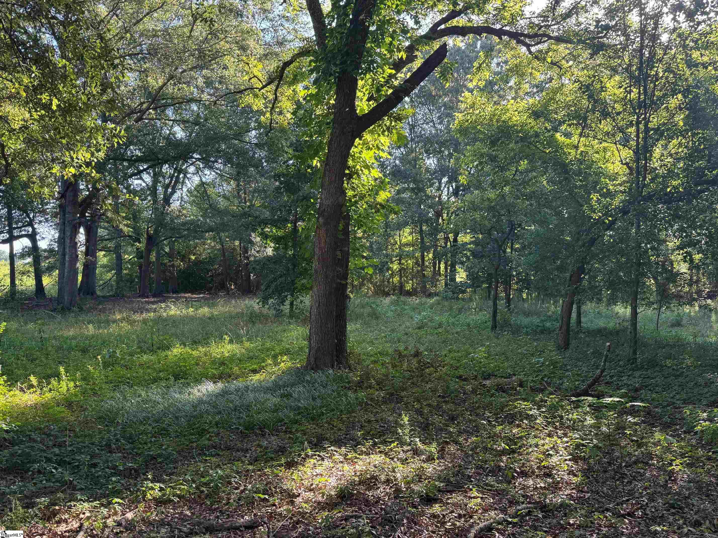 W Georgia Road Property Photo 4
