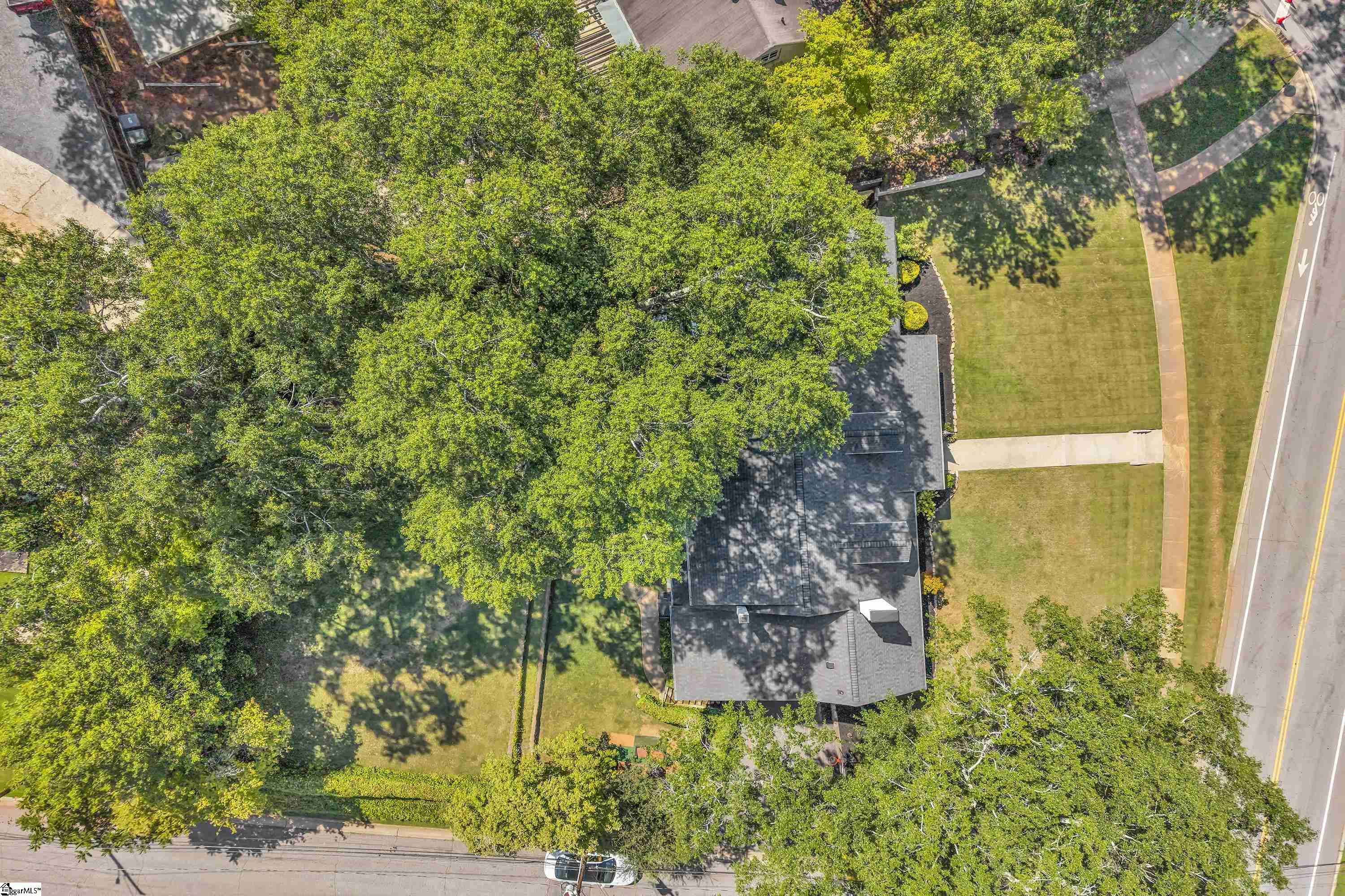 201 Cleveland Street Property Photo 40