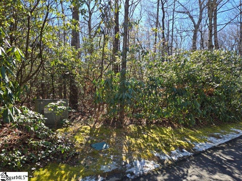 112 Hemlock Trail Property Photo 3