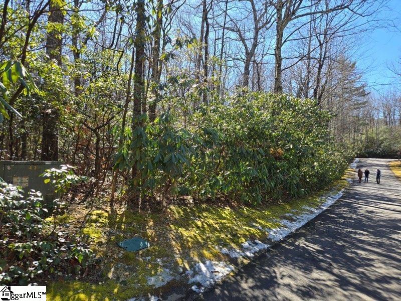 112 Hemlock Trail Property Photo 4