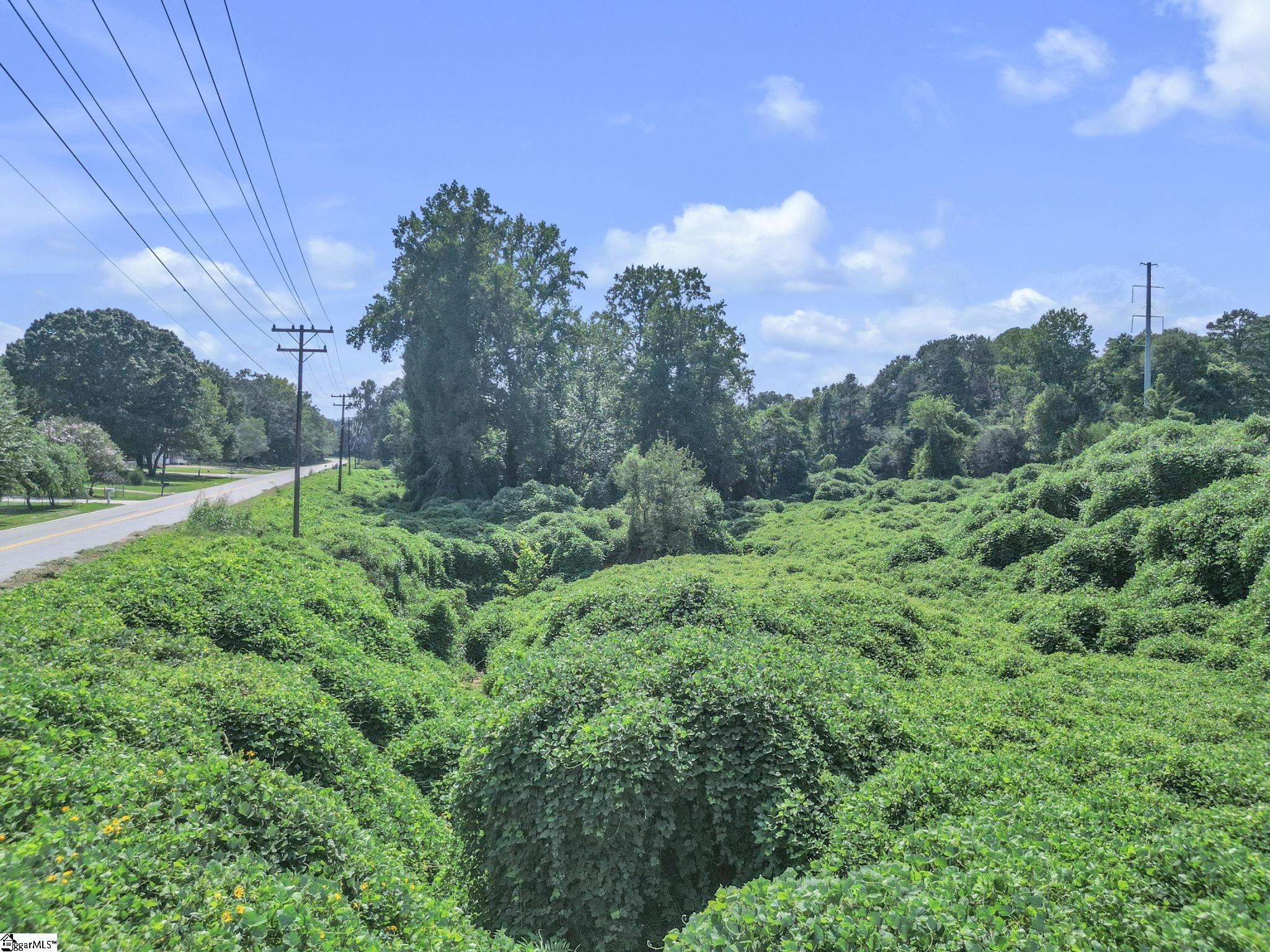 Tbd Cedar Springs Drive Property Photo 6