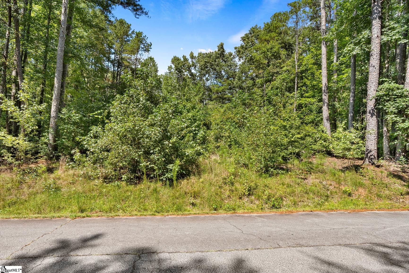 132 E Spartan Drive Property Photo 3