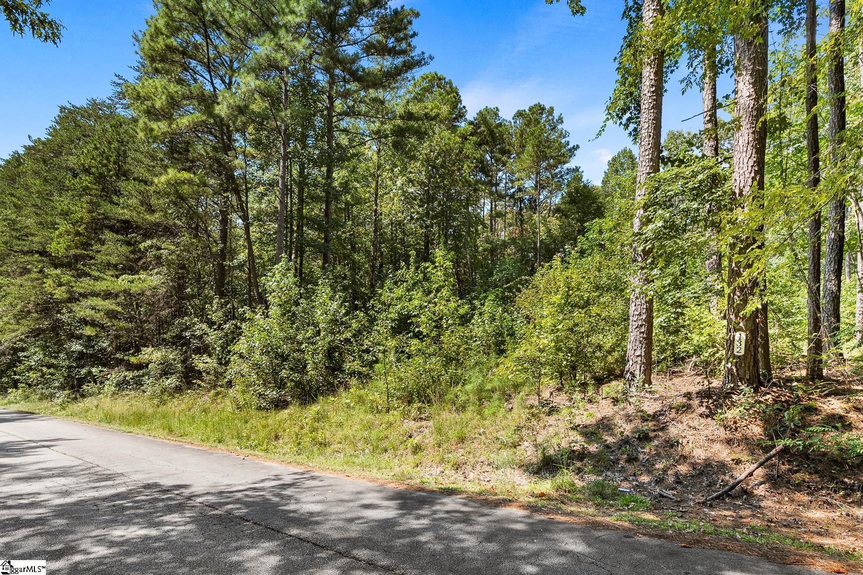 132 E Spartan Drive Property Photo 4
