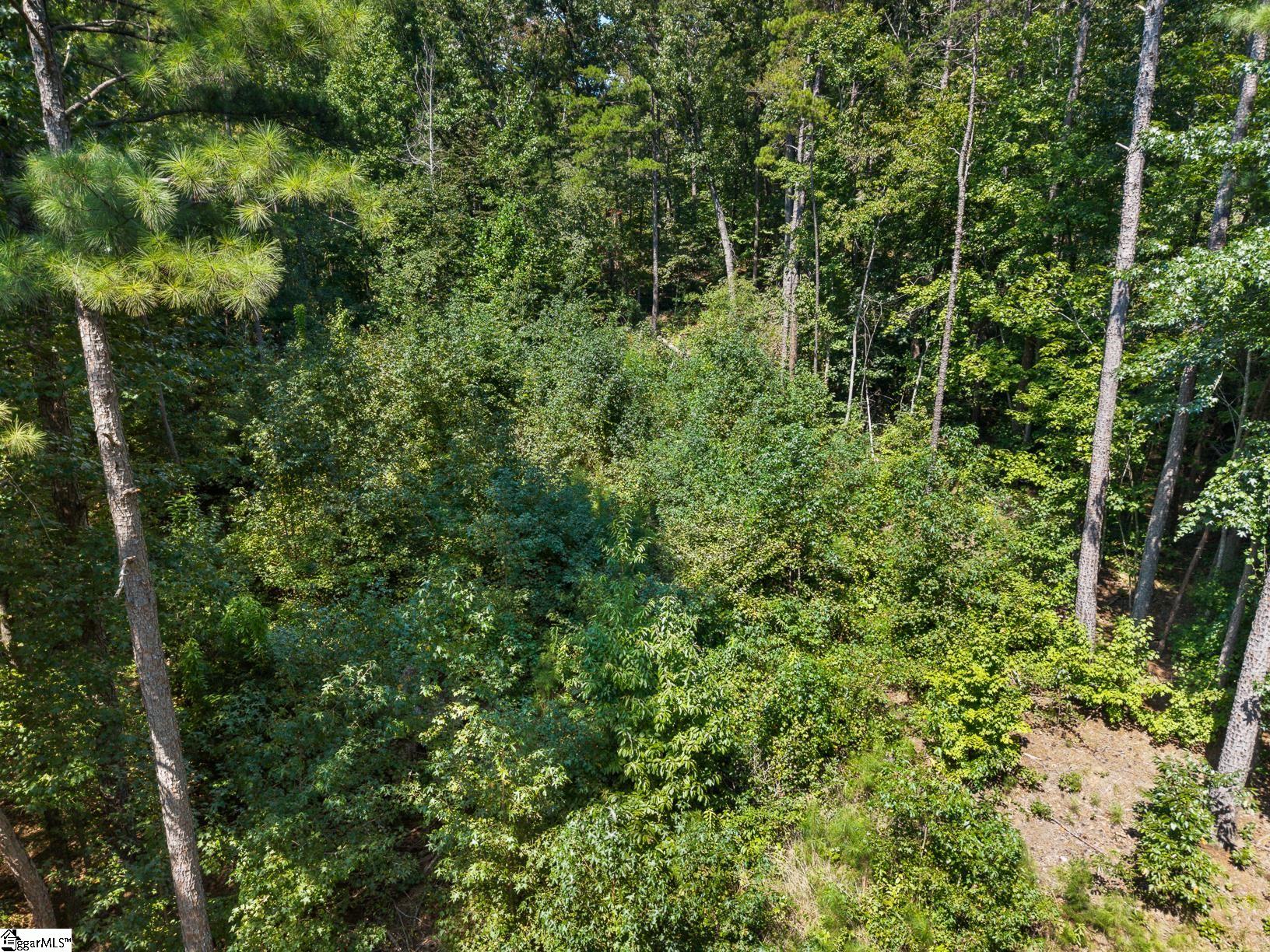132 E Spartan Drive Property Photo 6