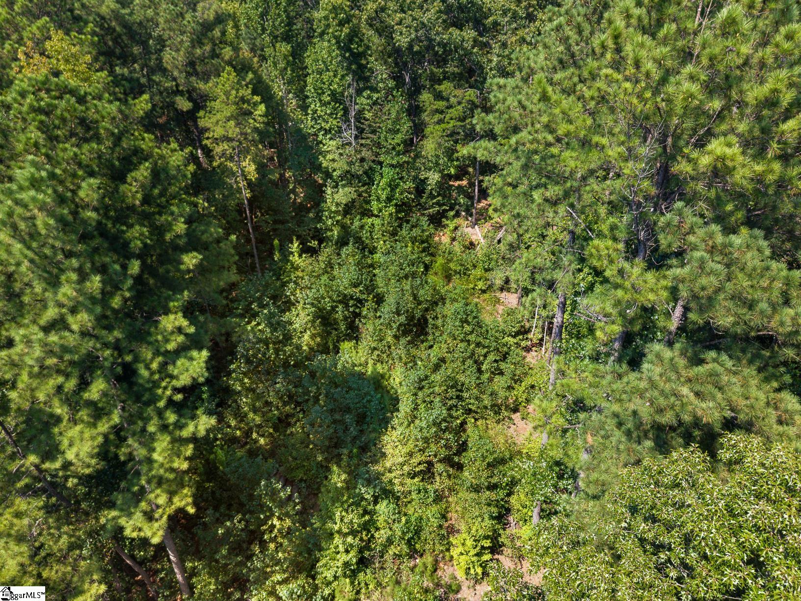 132 E Spartan Drive Property Photo 7