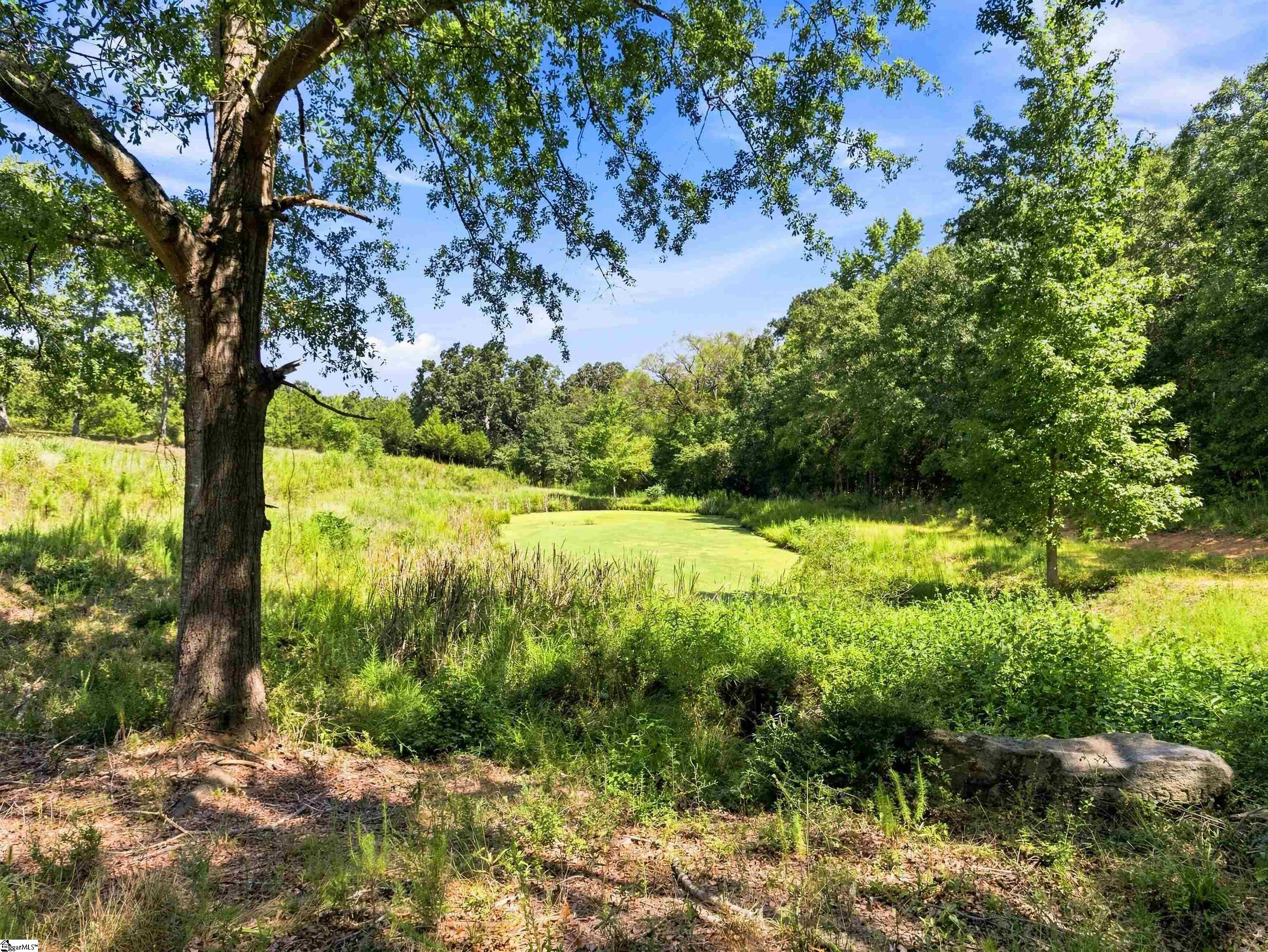 2861 Fairveiw Road Property Photo 32