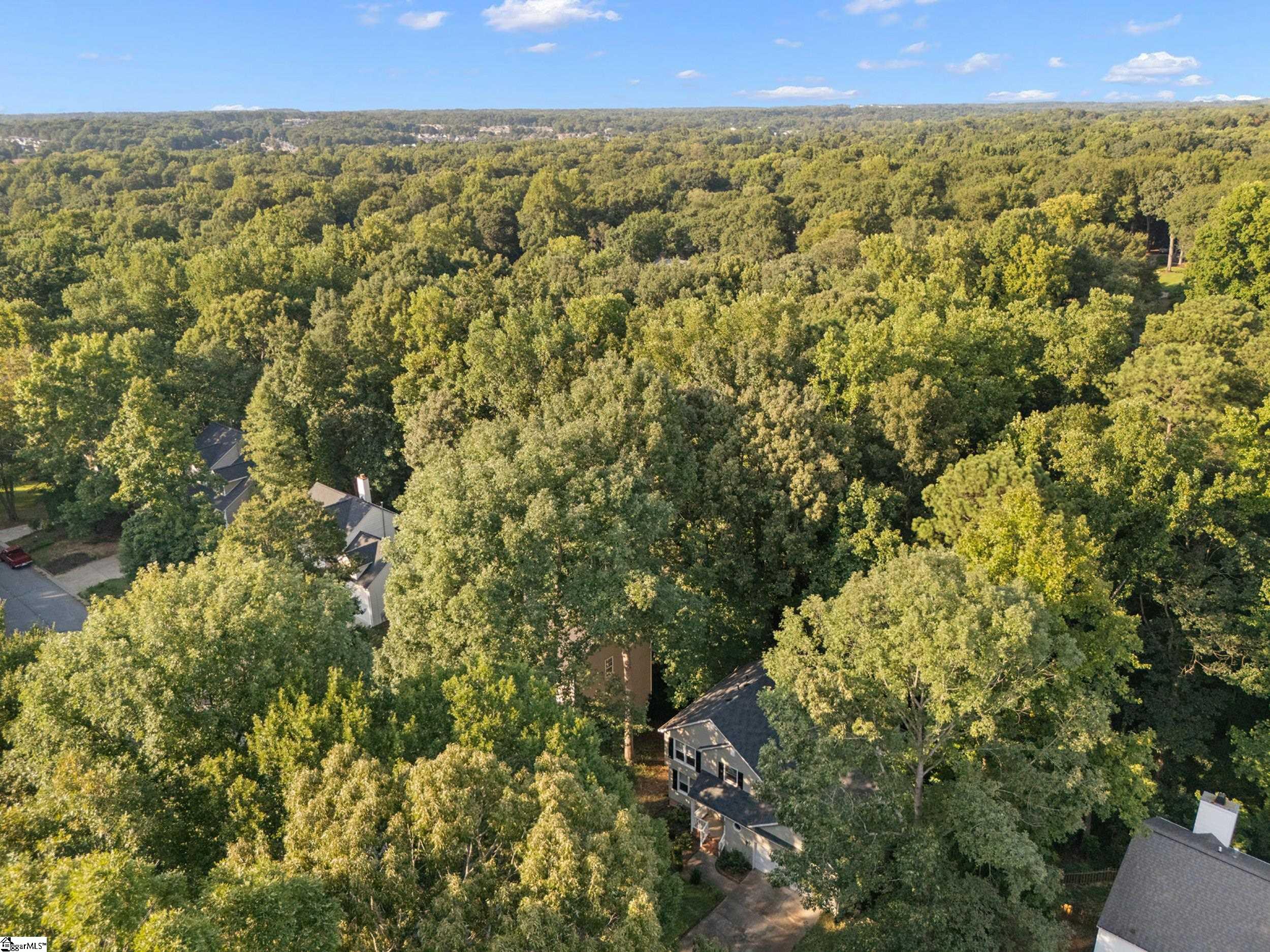 308 Wild Horse Creek Drive Property Photo 38