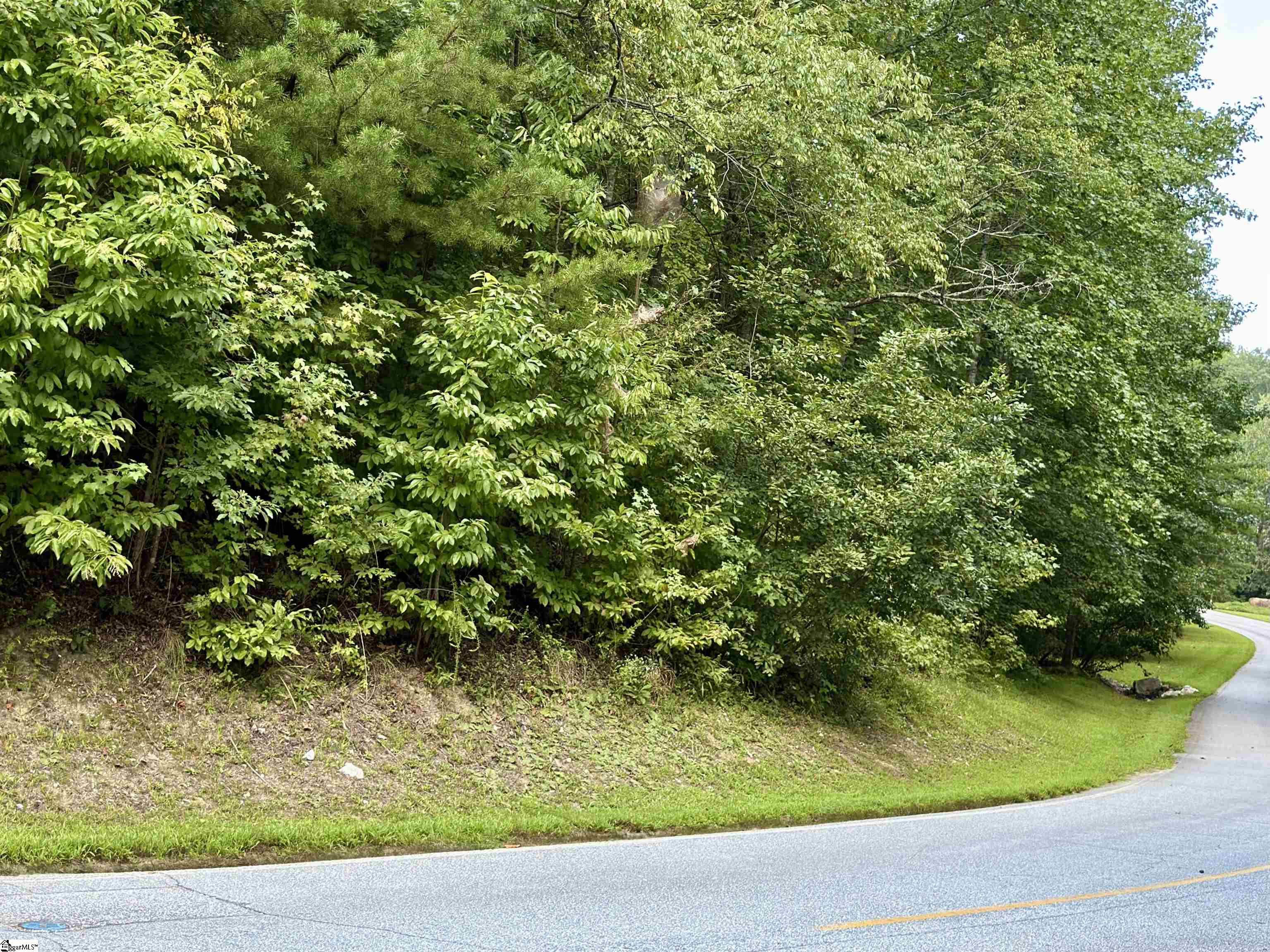 100 Cottage Side Trail Property Photo 3