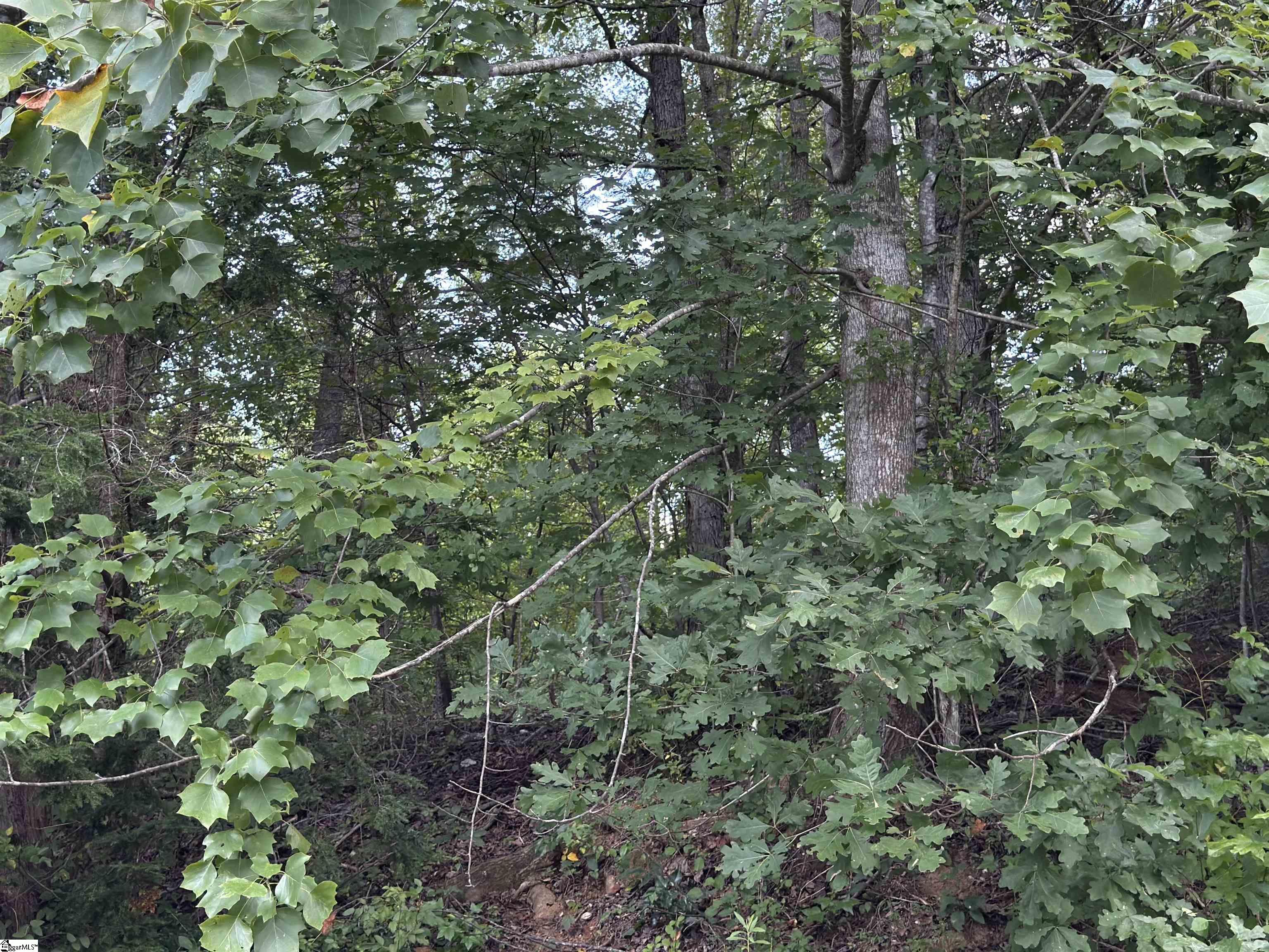 100 Cottage Side Trail Property Photo 4