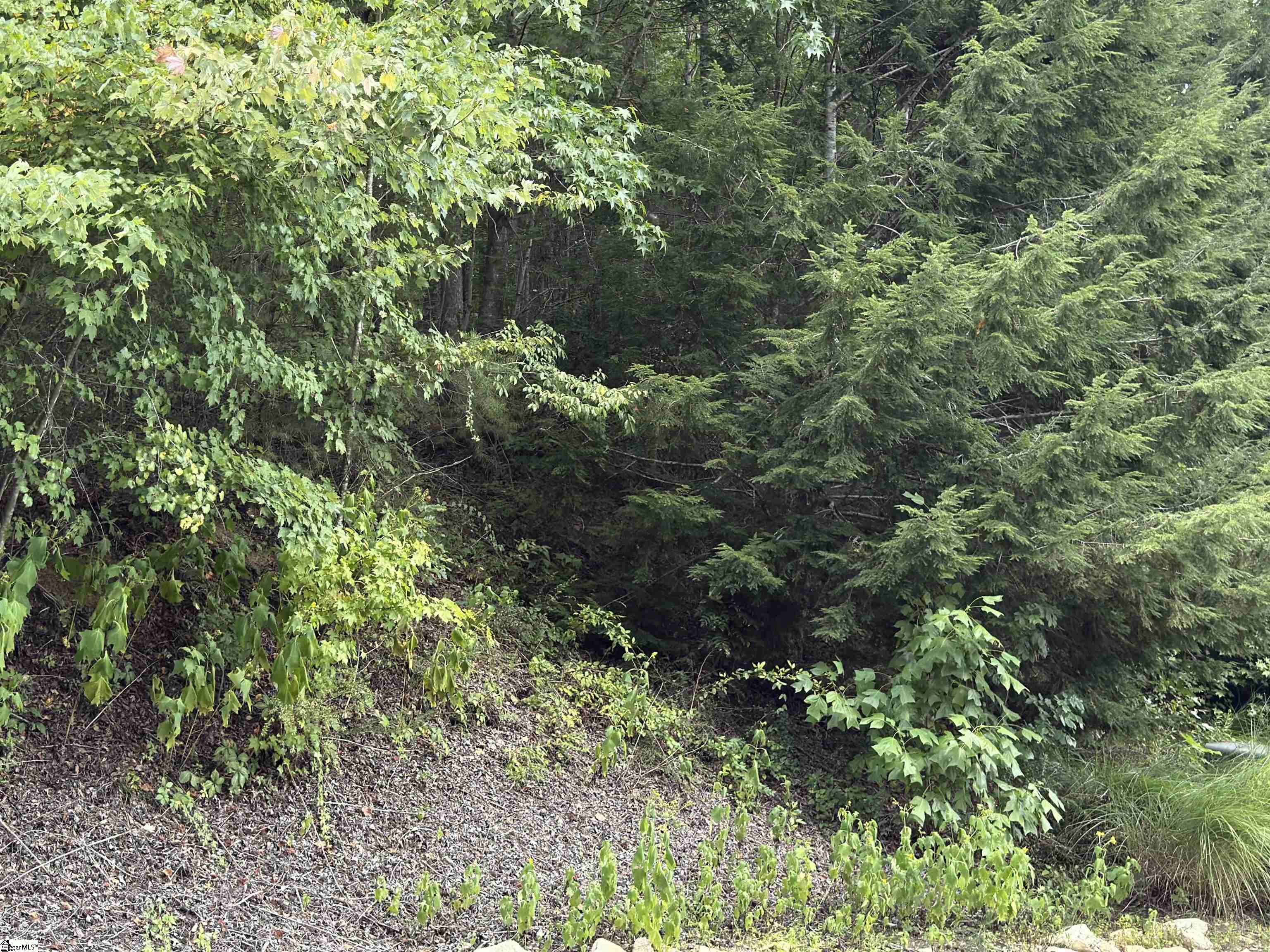 100 Cottage Side Trail Property Photo 5