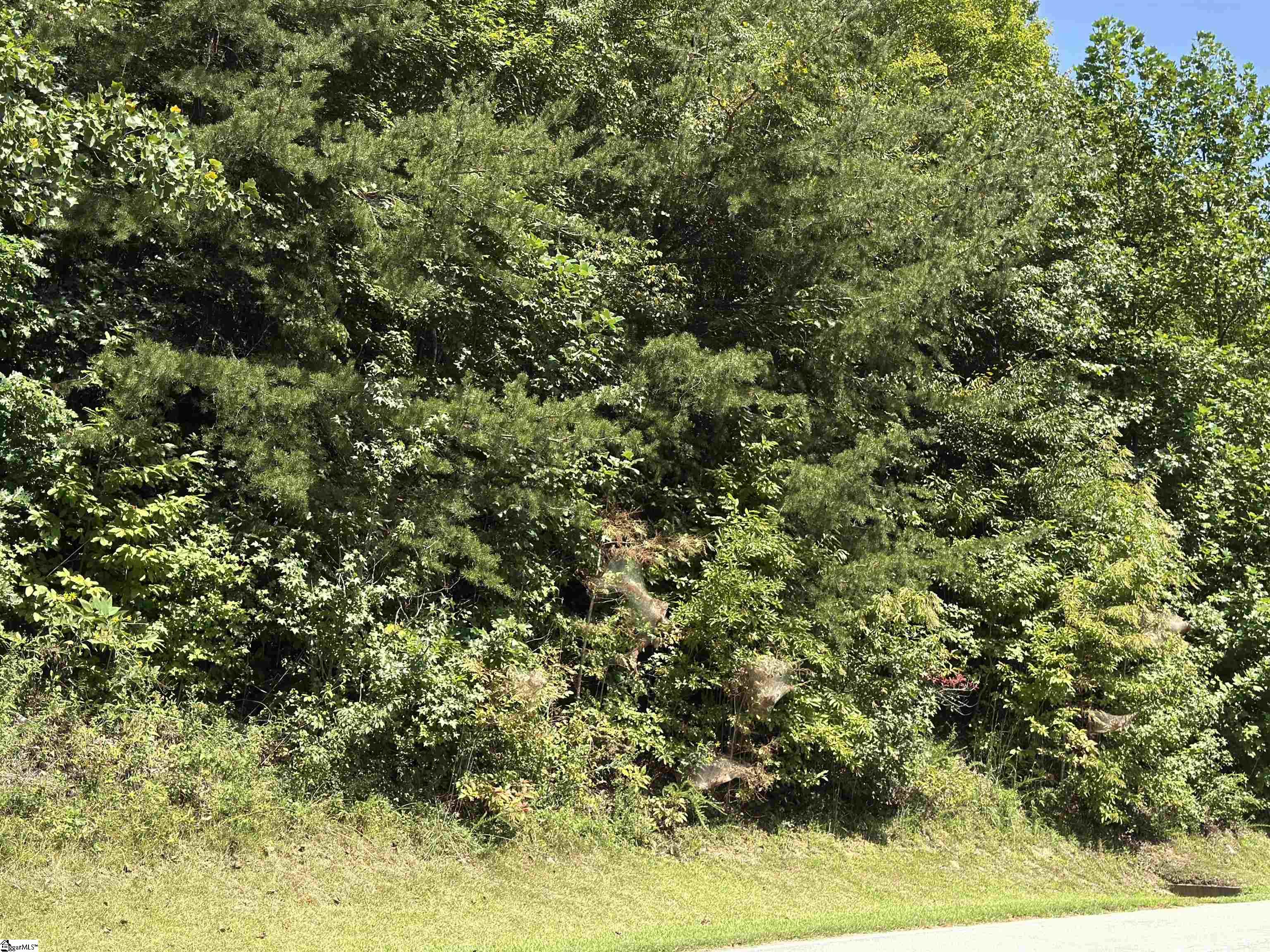 100 Cottage Side Trail Property Photo 7