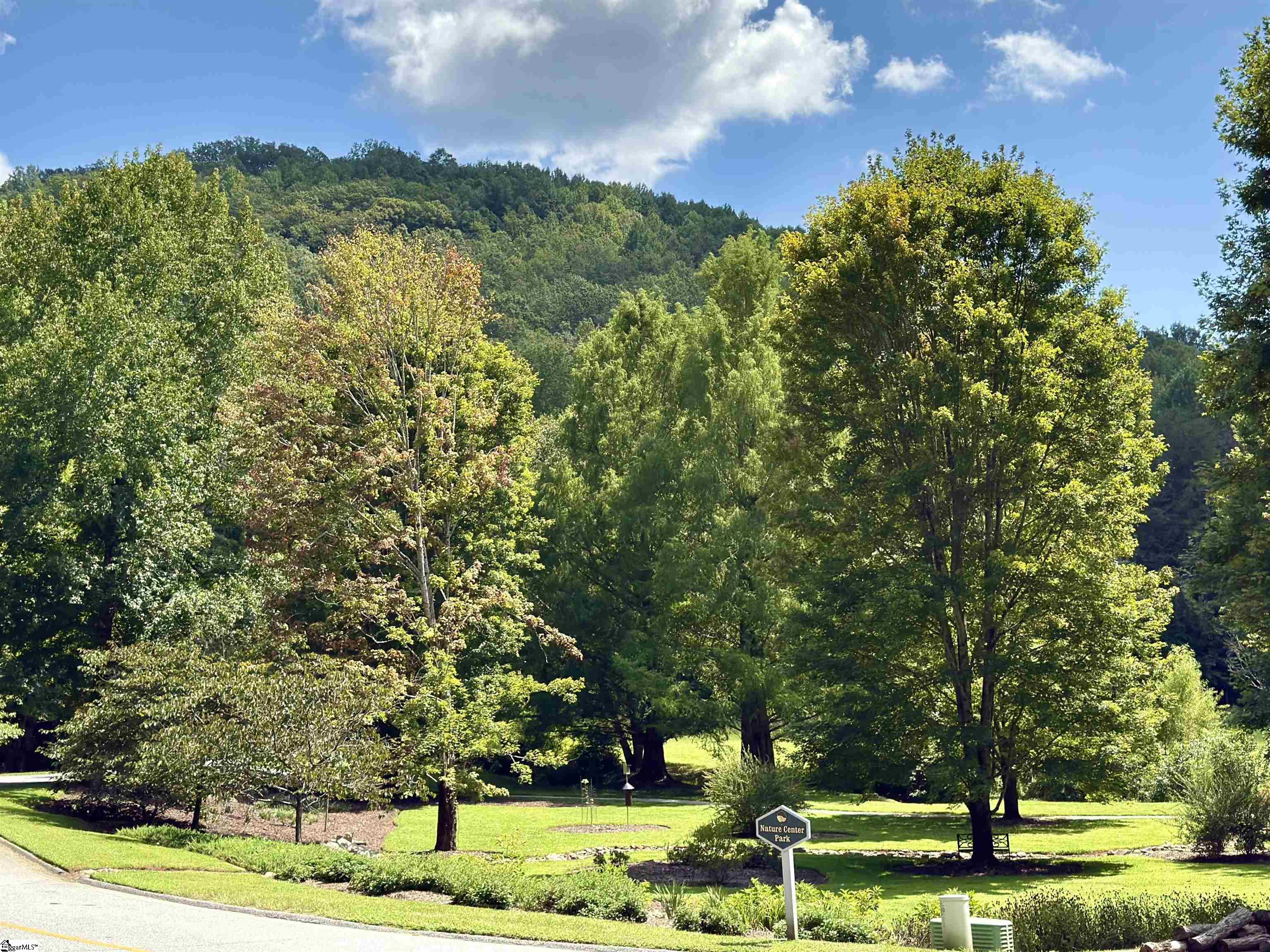 100 Cottage Side Trail Property Photo 9