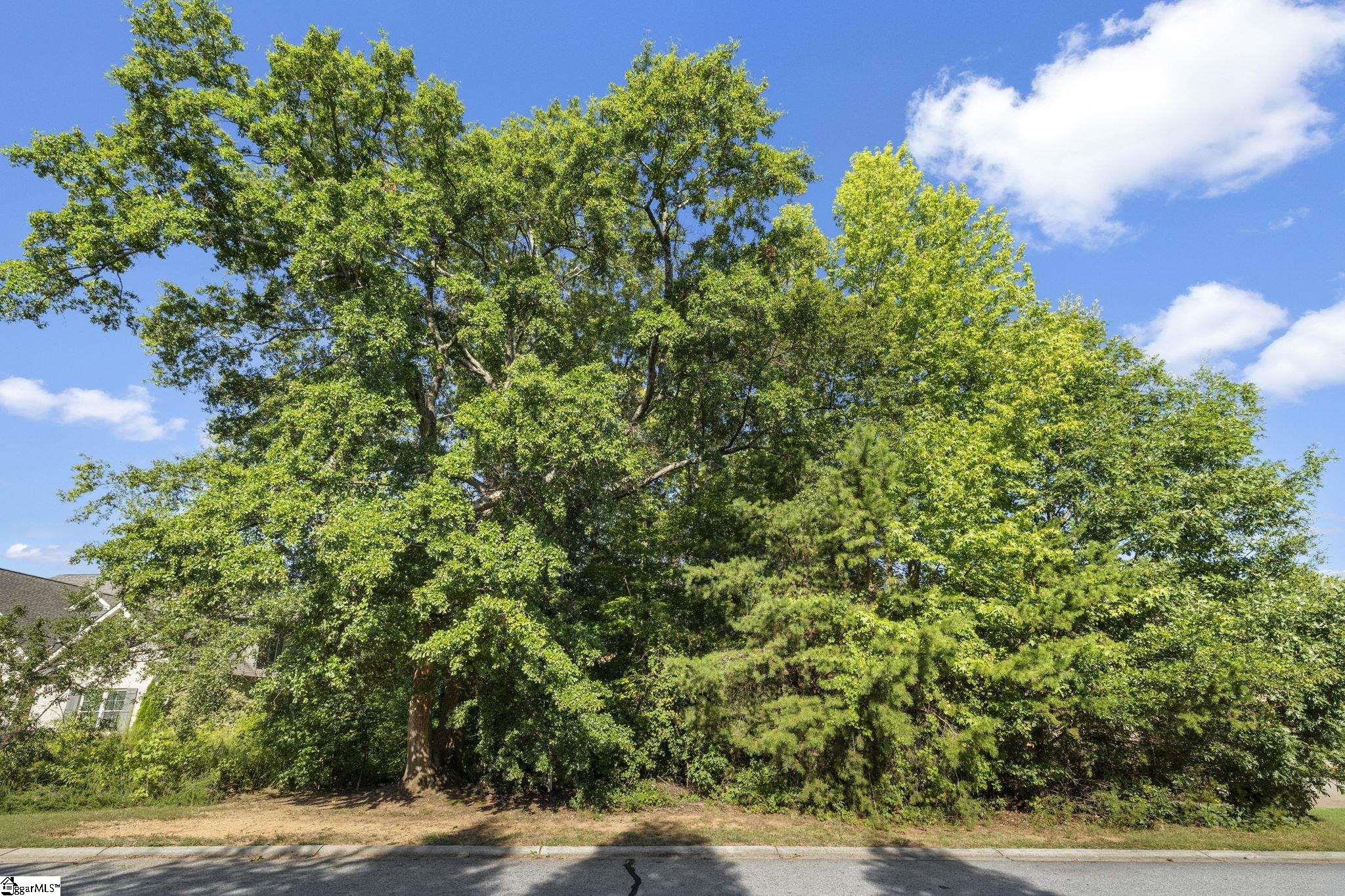 304 Chamblee Boulevard Property Photo 5