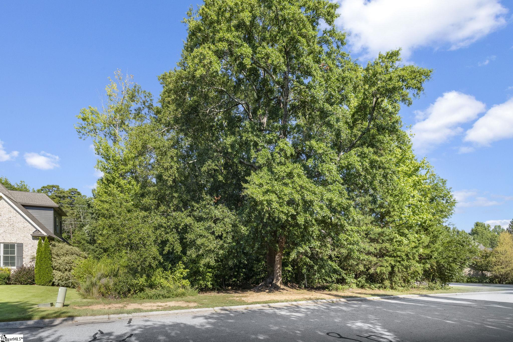 304 Chamblee Boulevard Property Photo 6