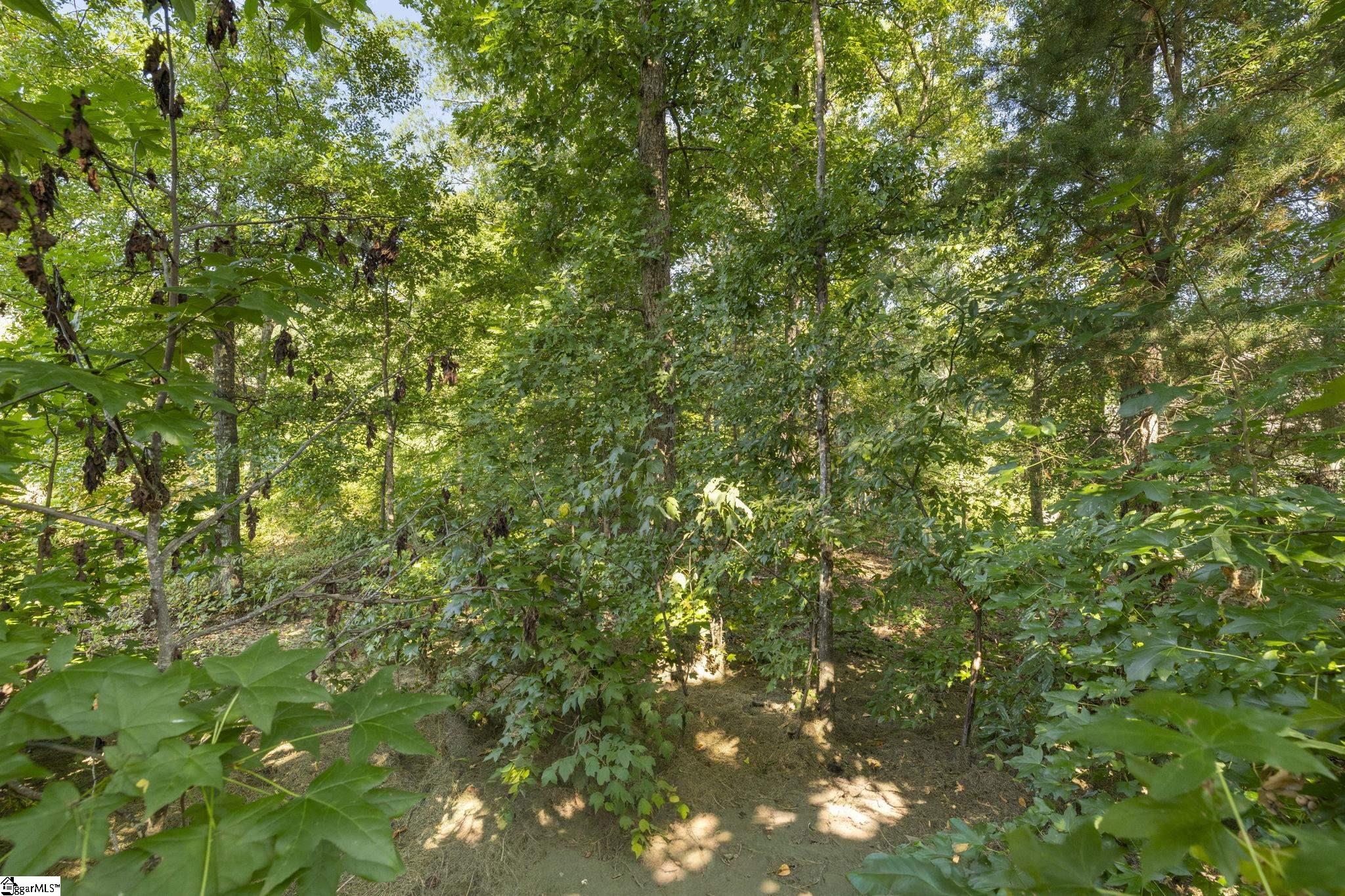 304 Chamblee Boulevard Property Photo 8