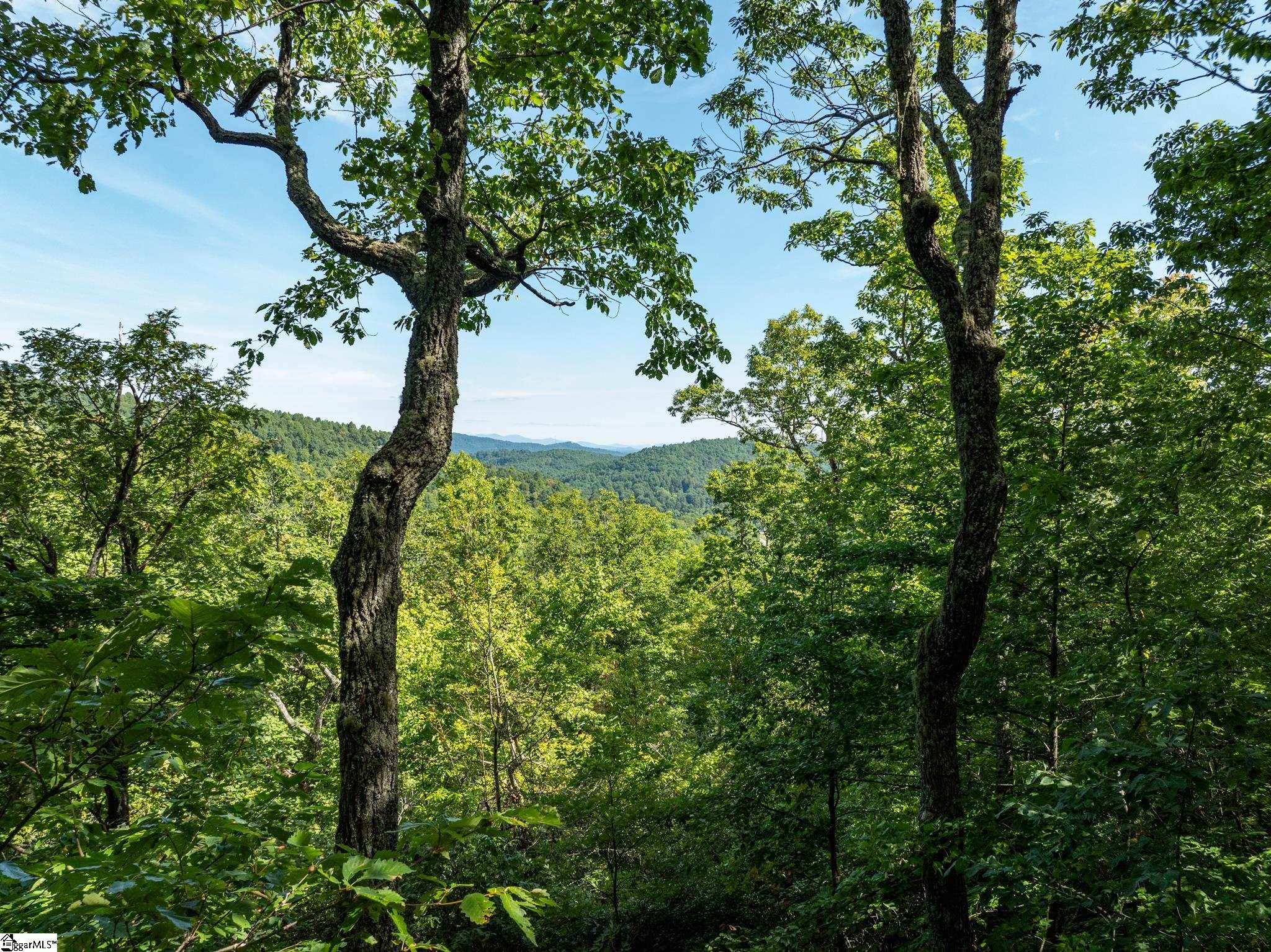 0 Panther Mountain Road Property Photo 2