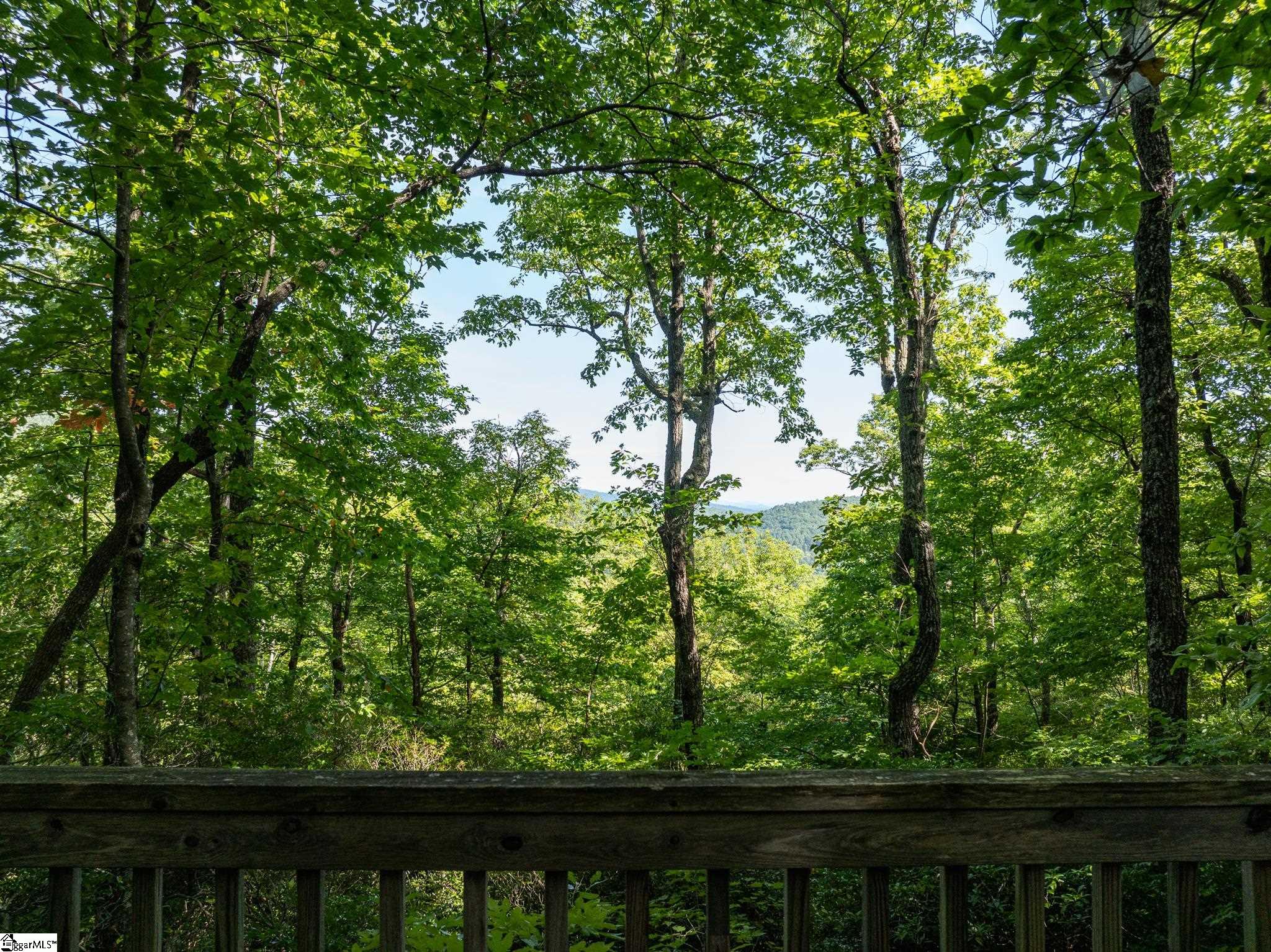 0 Panther Mountain Road Property Photo 3