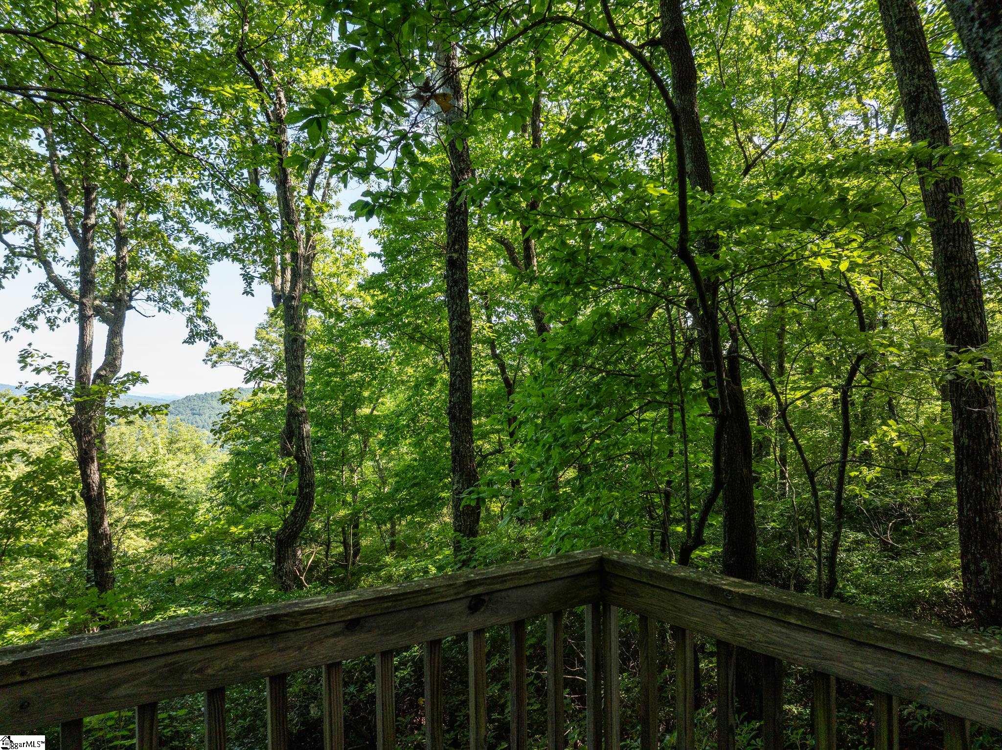 0 Panther Mountain Road Property Photo 4