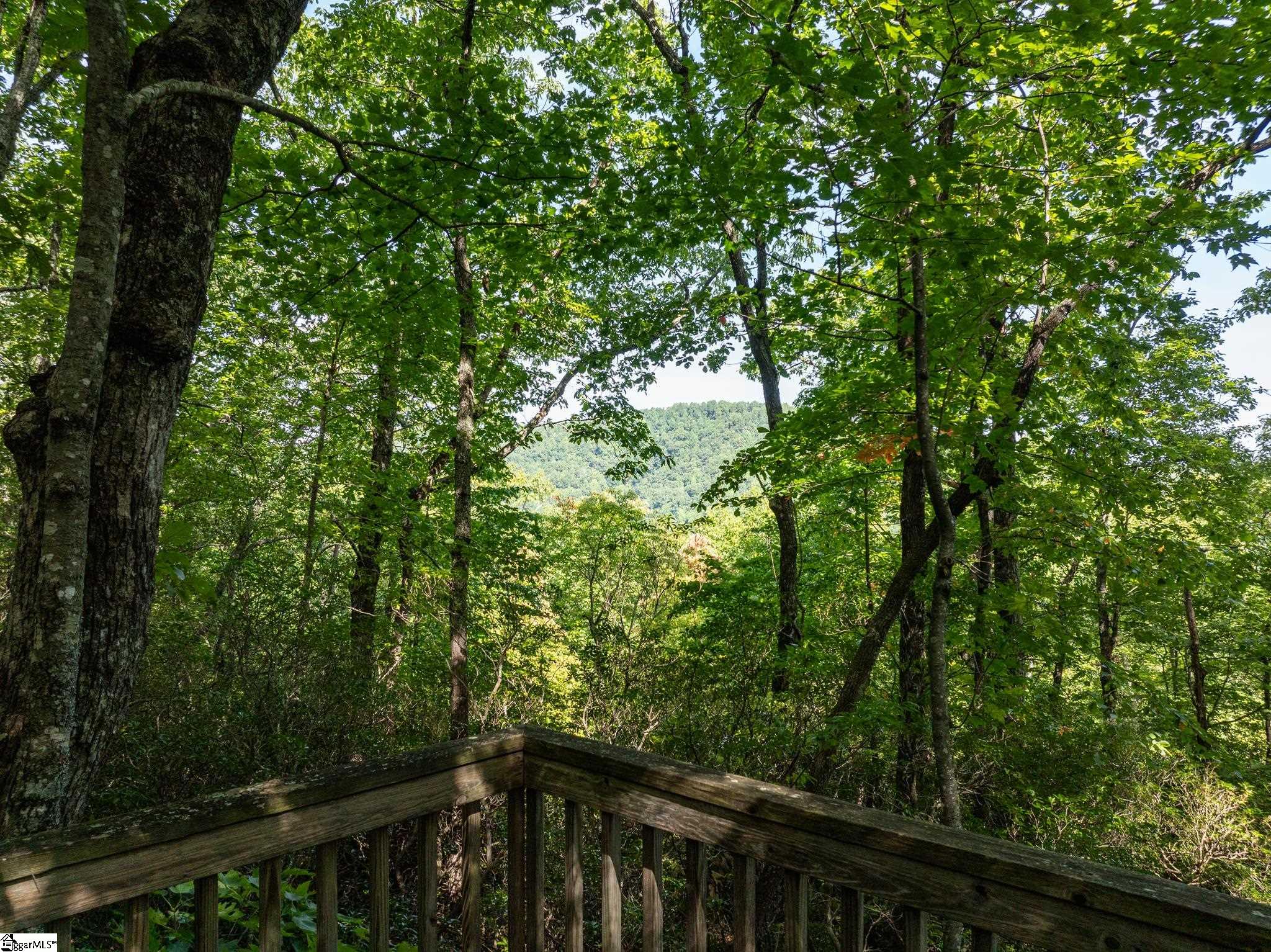 0 Panther Mountain Road Property Photo 5
