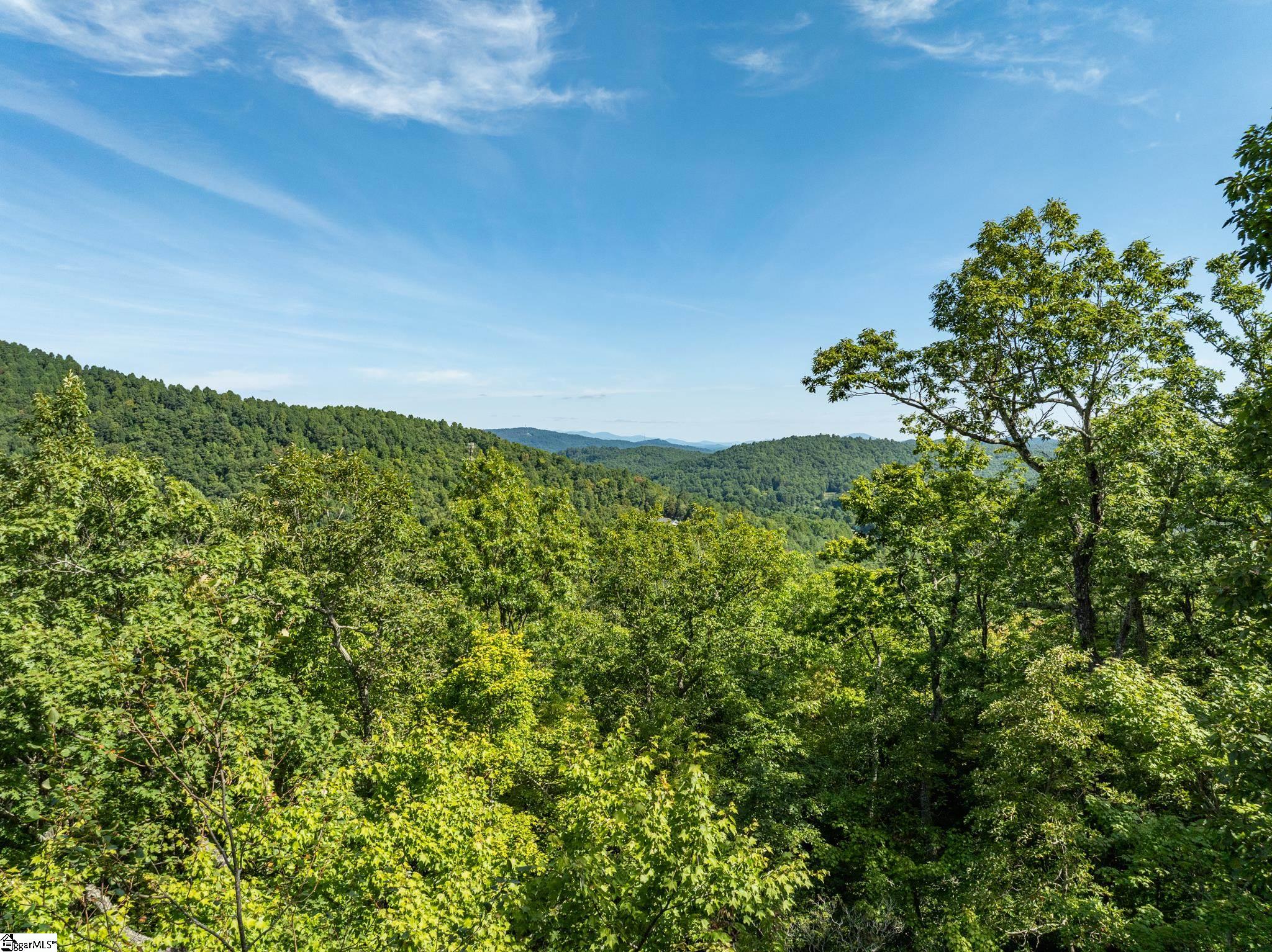 0 Panther Mountain Road Property Photo 6