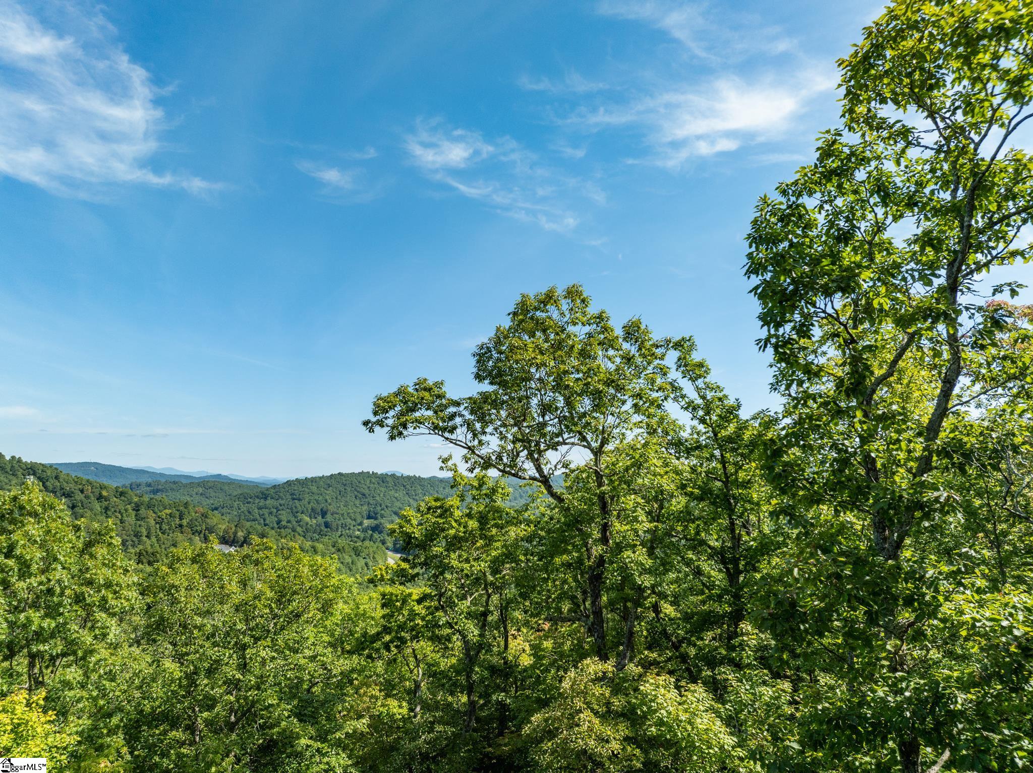 0 Panther Mountain Road Property Photo 8