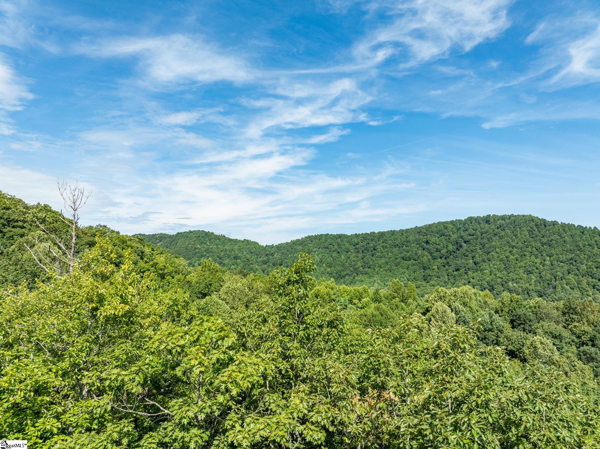 0 Panther Mountain Road Property Photo 9