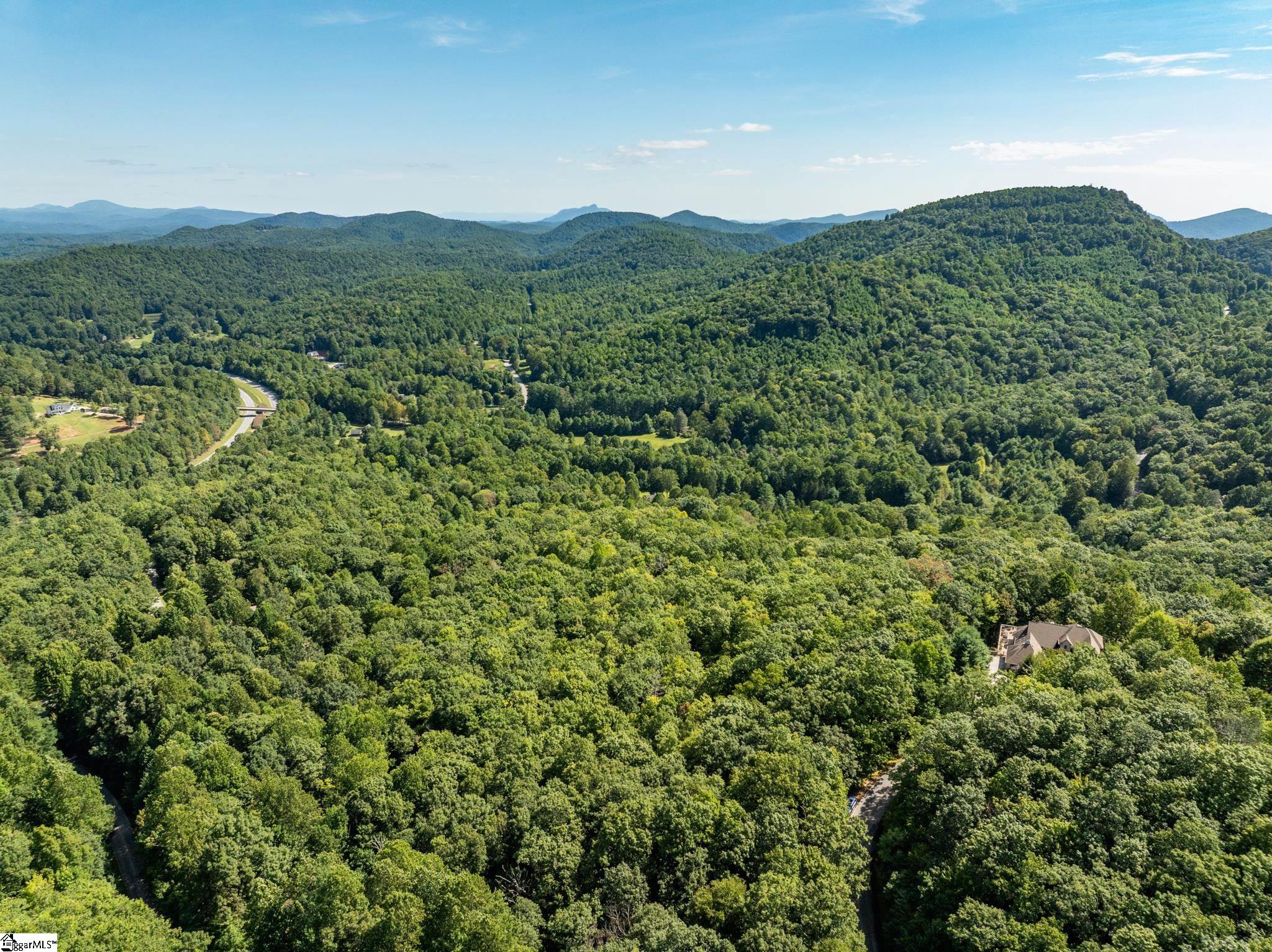 0 Panther Mountain Road Property Photo 17