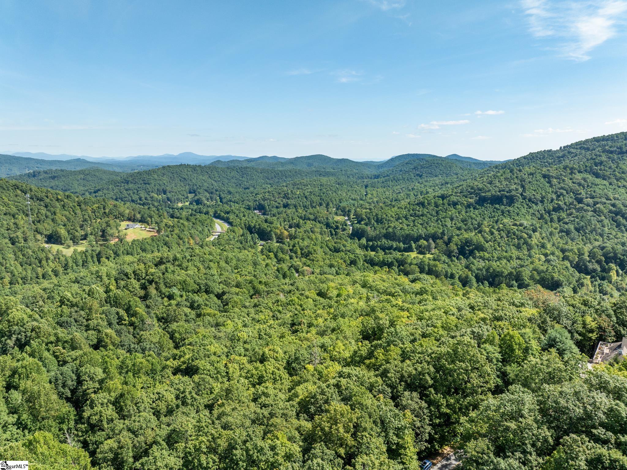 0 Panther Mountain Road Property Photo 18