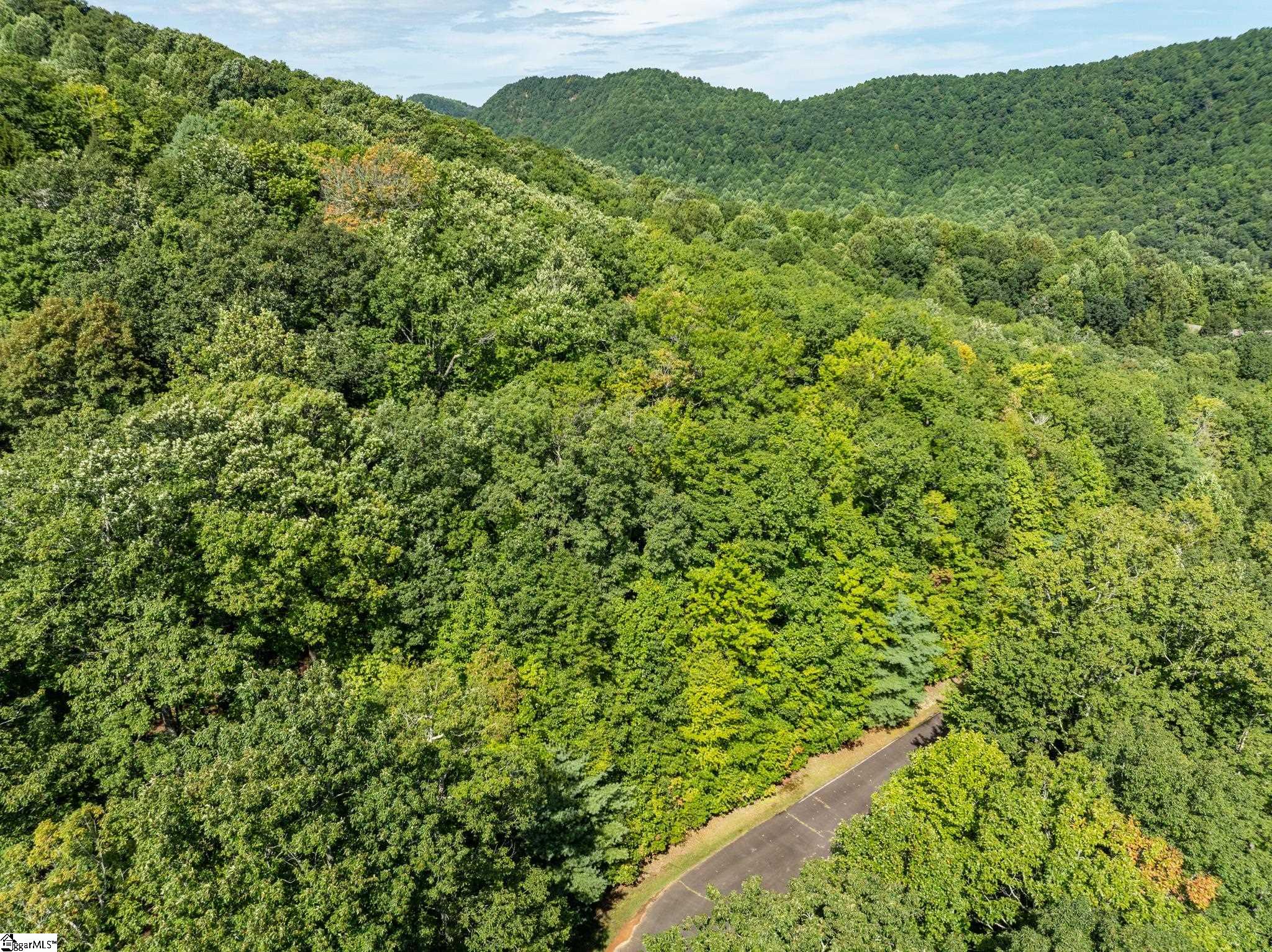 0 Panther Mountain Road Property Photo 19