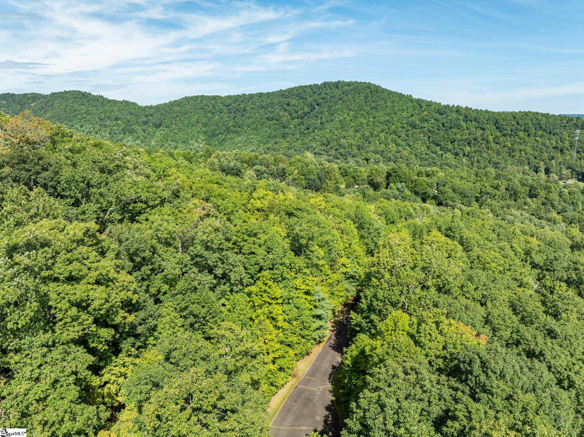 0 Panther Mountain Road Property Photo 20