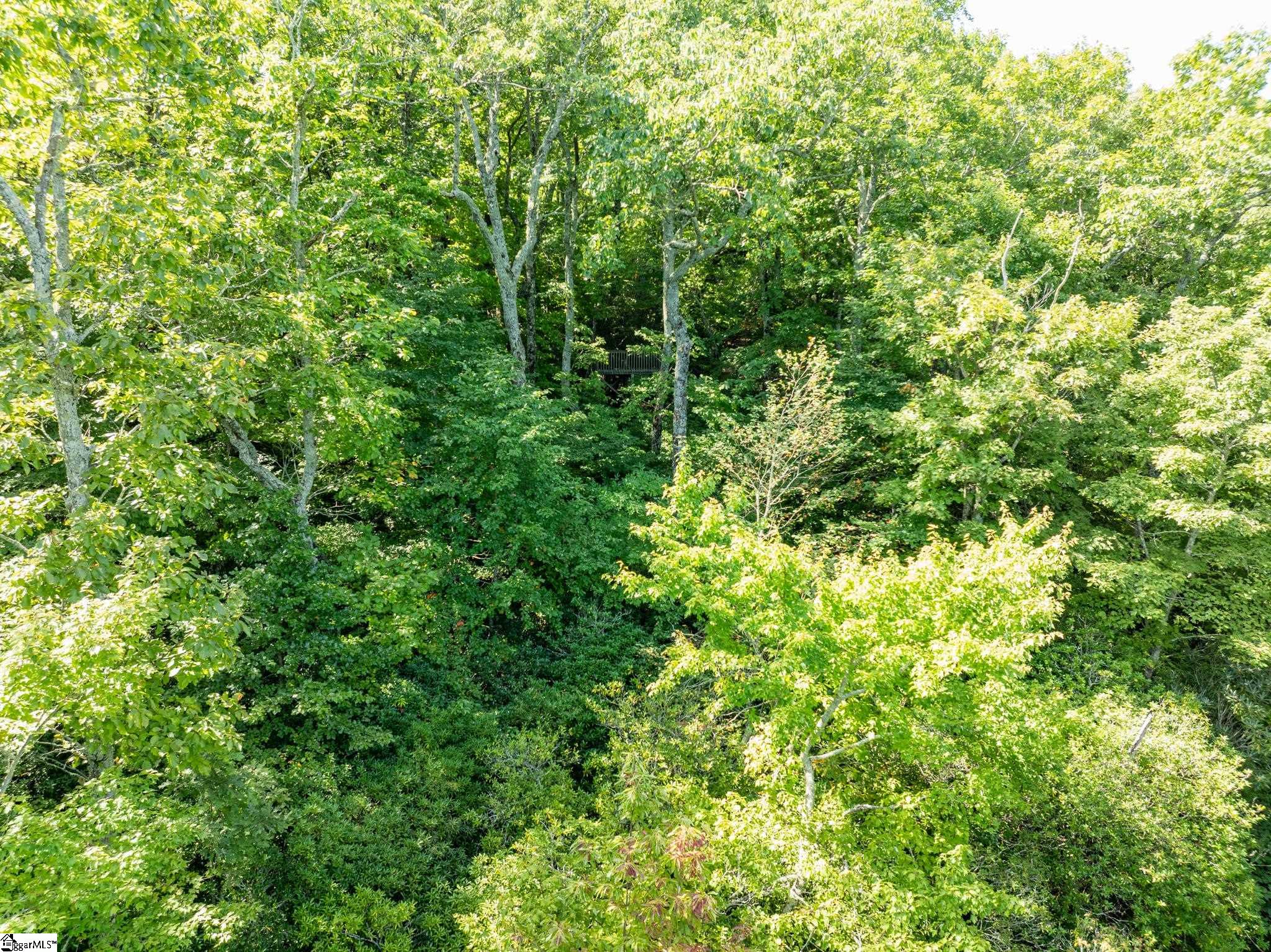 0 Panther Mountain Road Property Photo 25