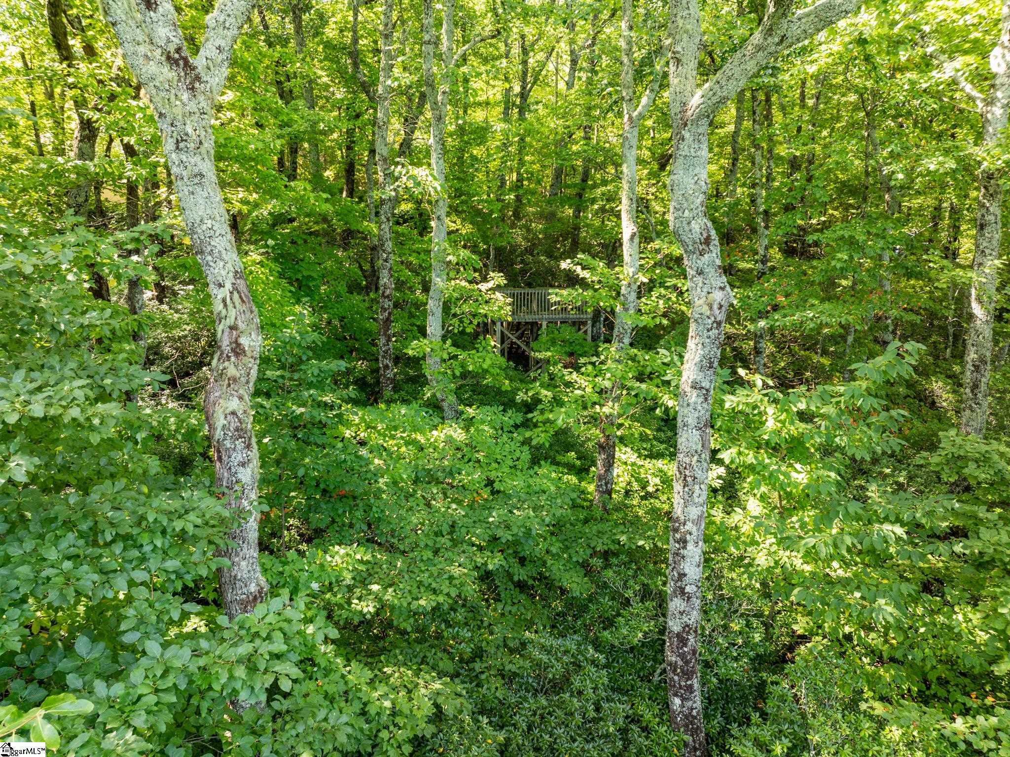0 Panther Mountain Road Property Photo 26