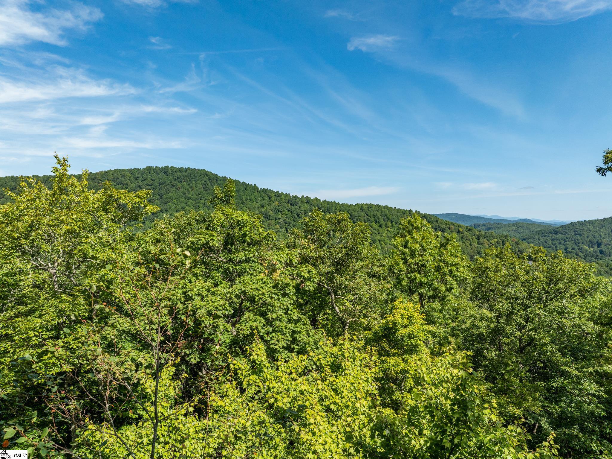 0 Panther Mountain Road Property Photo 27