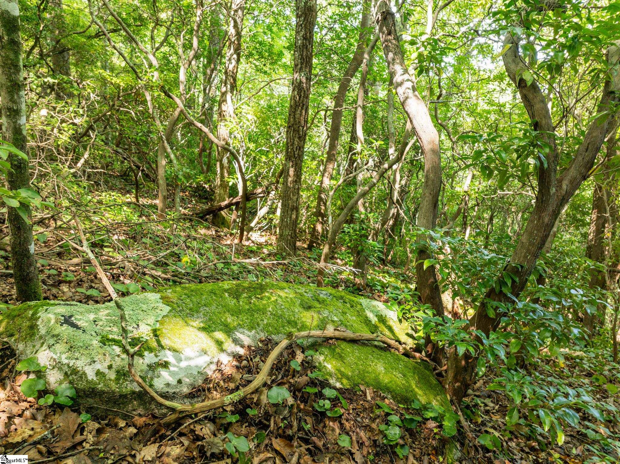 0 Panther Mountain Road Property Photo 31