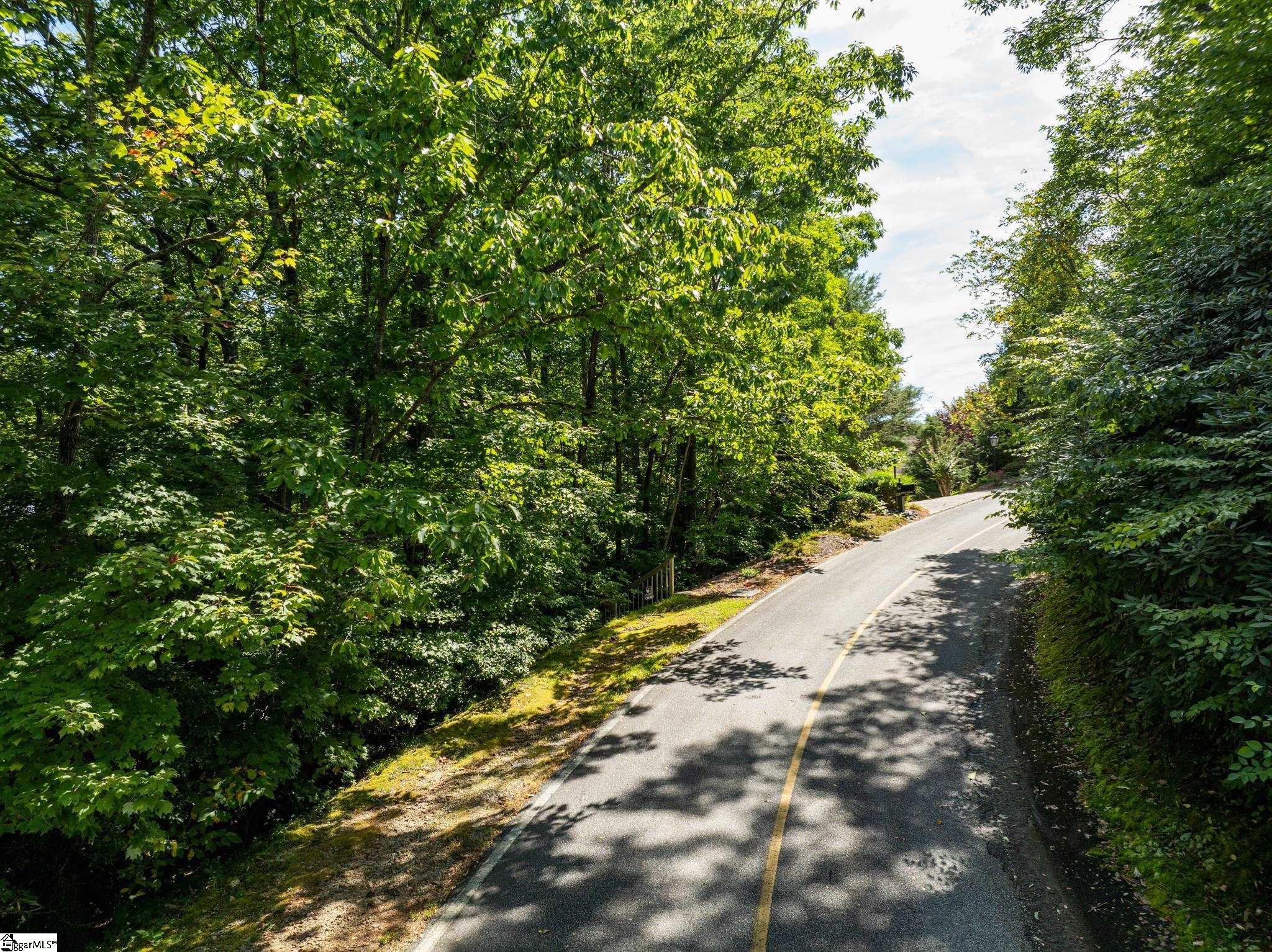 0 Panther Mountain Road Property Photo 32
