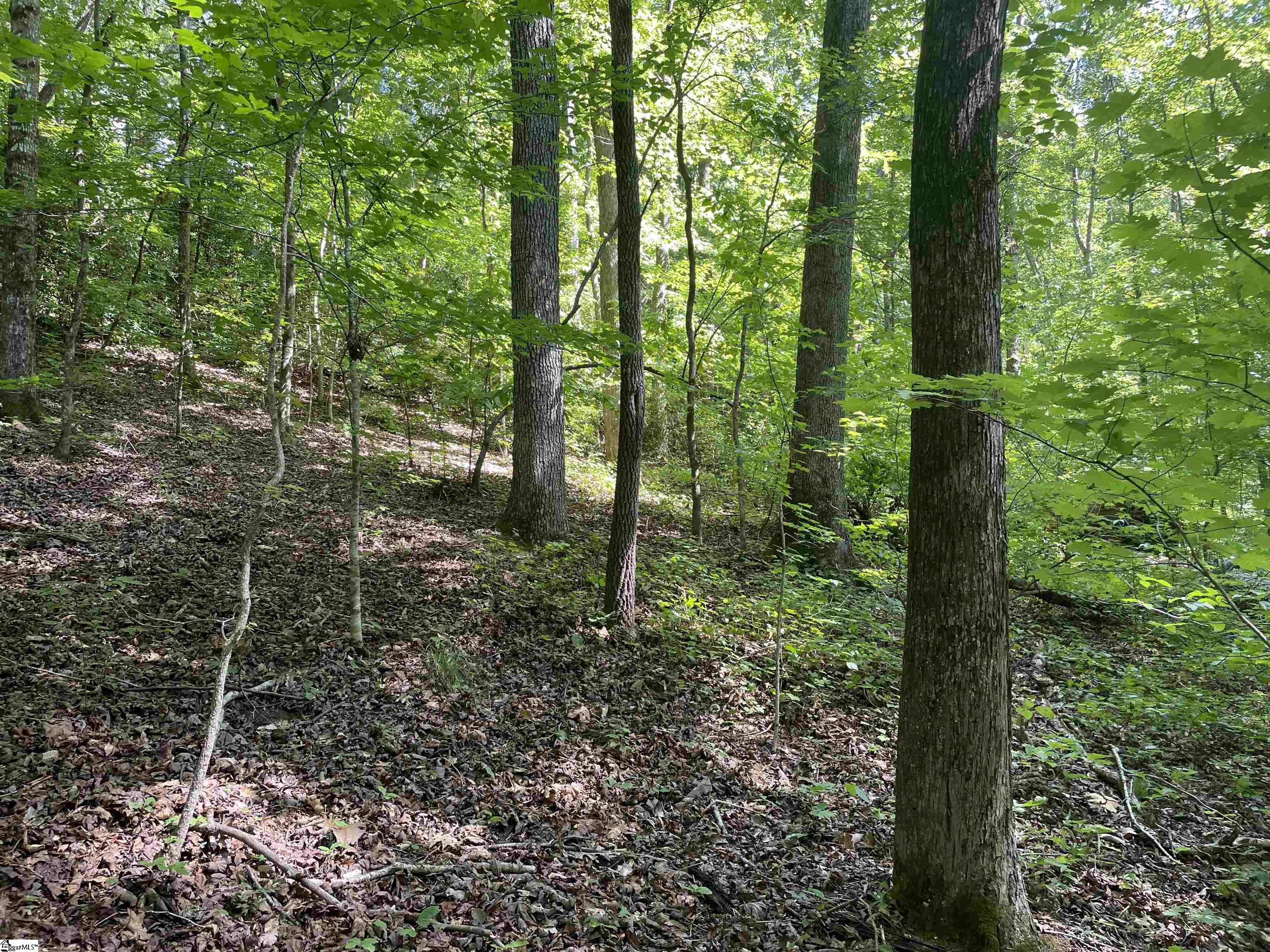 297 Woodall Mountain Road Property Photo 29
