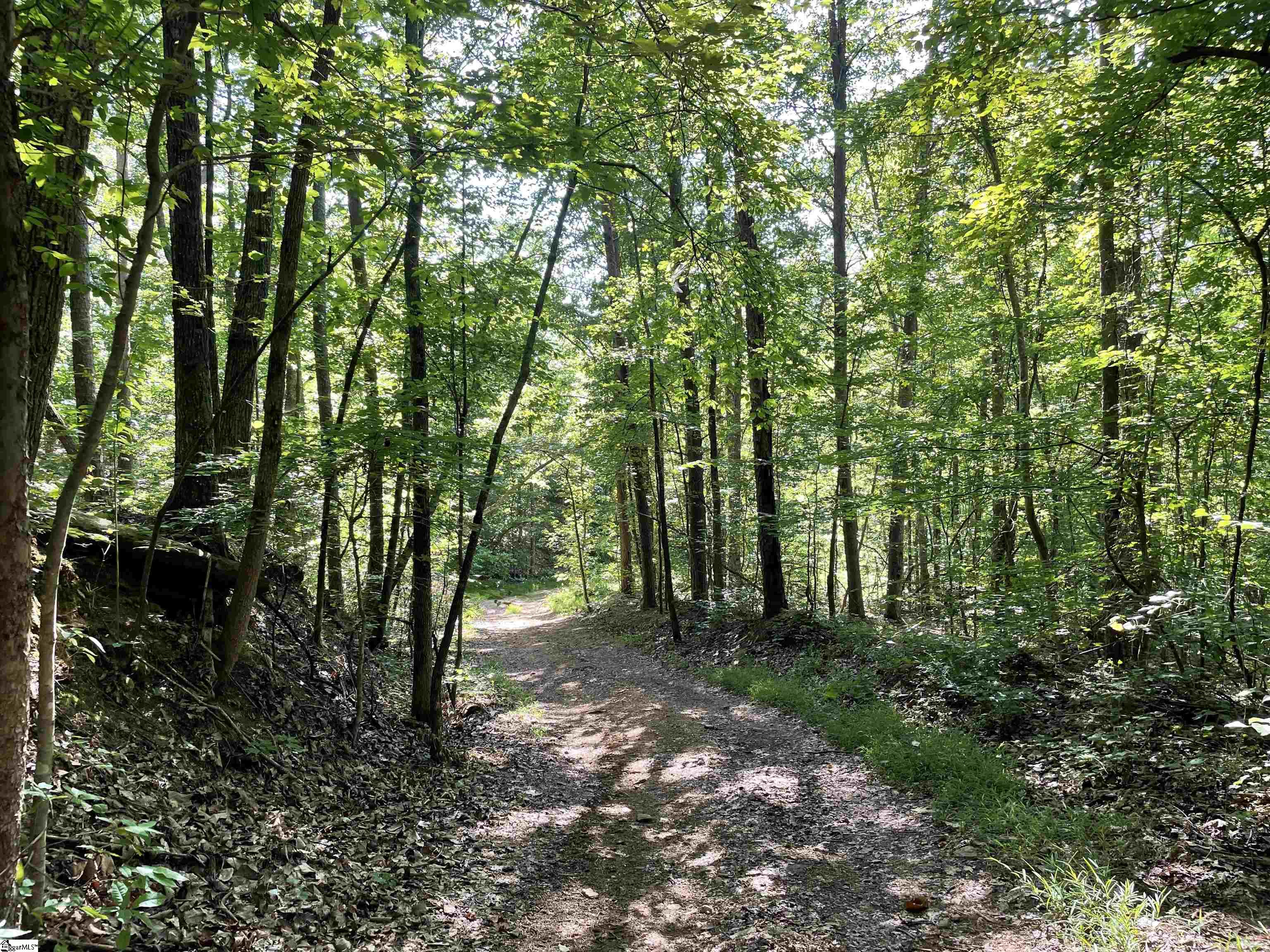 297 Woodall Mountain Road Property Photo 34