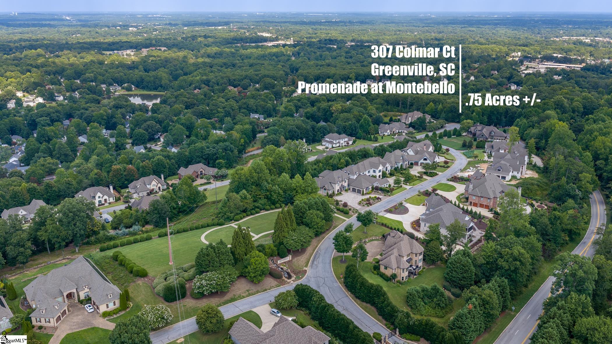207 Colmar Court Property Photo 2