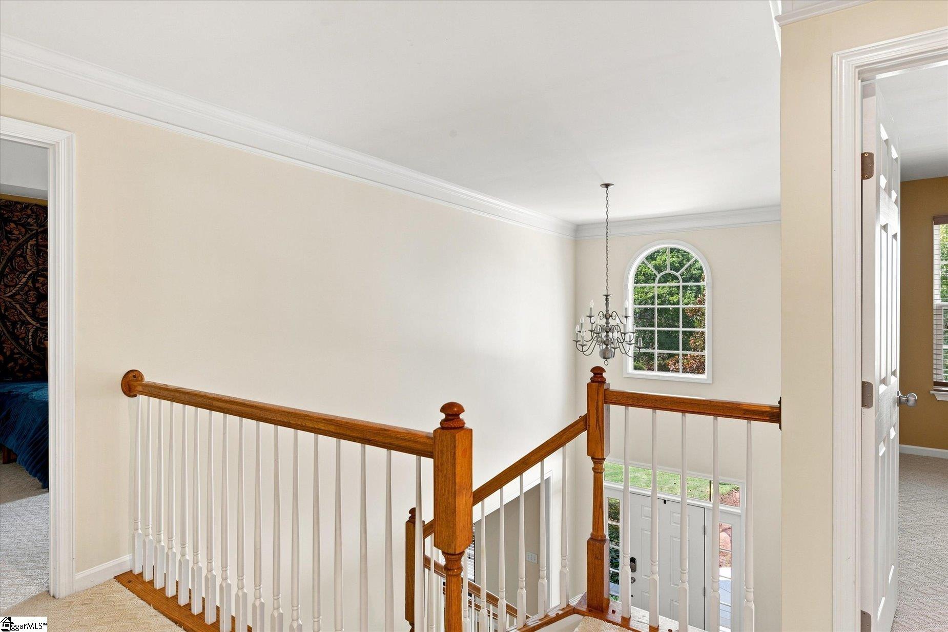5 Neland Court Property Photo 25