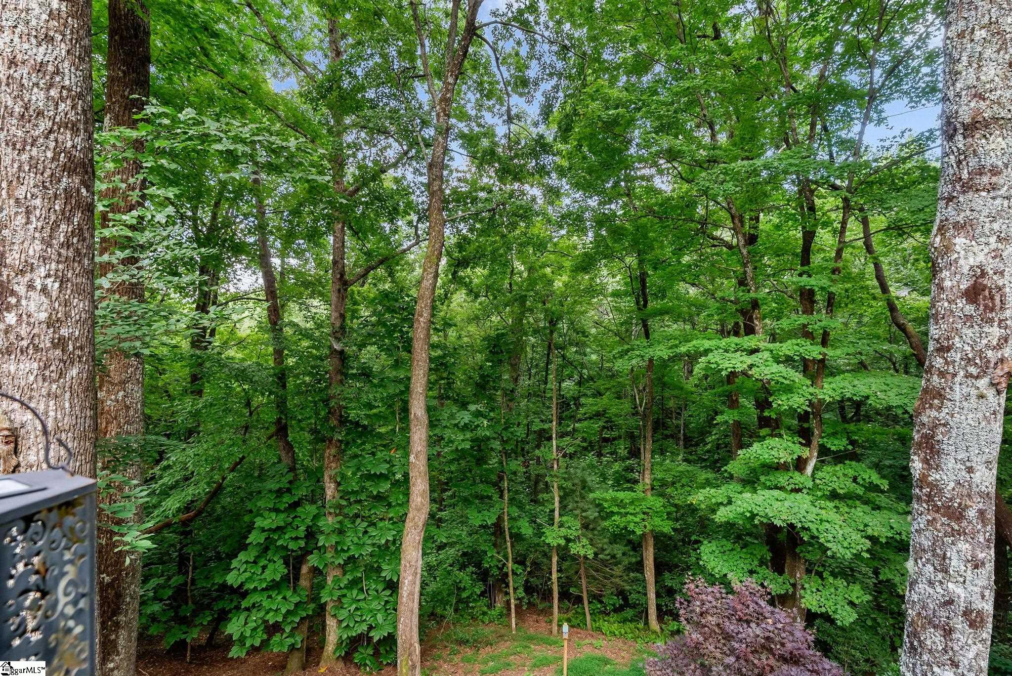110 Panther Mountain Road Property Photo 29