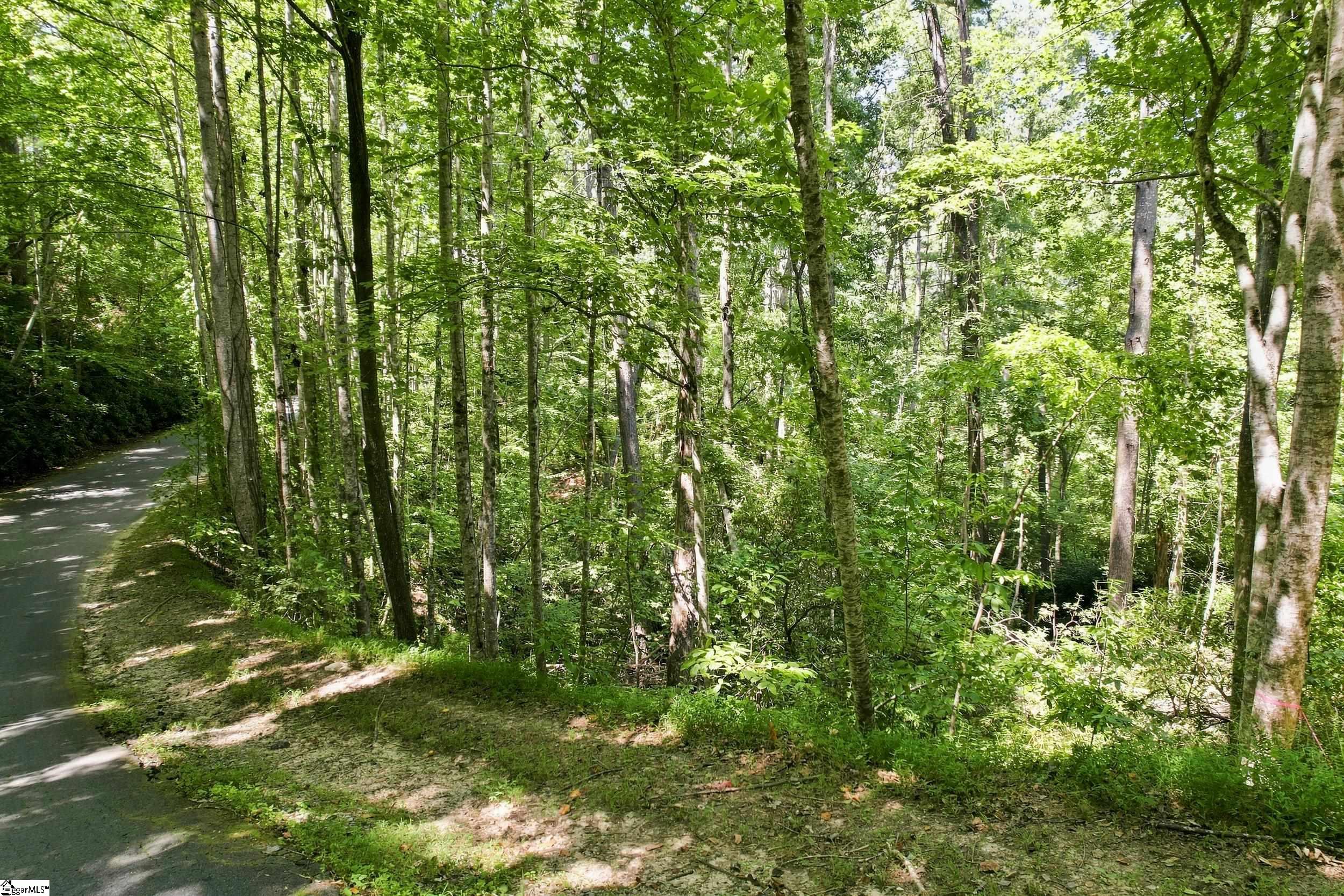 926 Bay Ridge Drive Property Photo 4