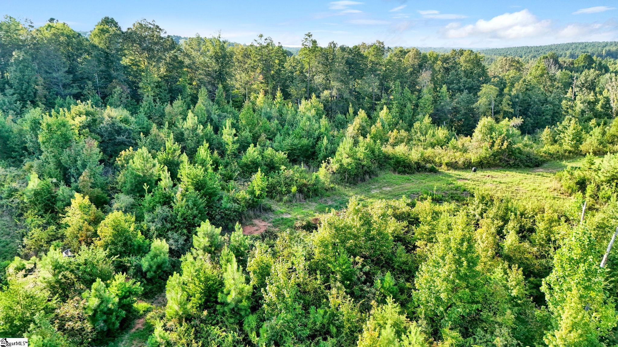 542 Browns Creek Church Road Property Photo 15