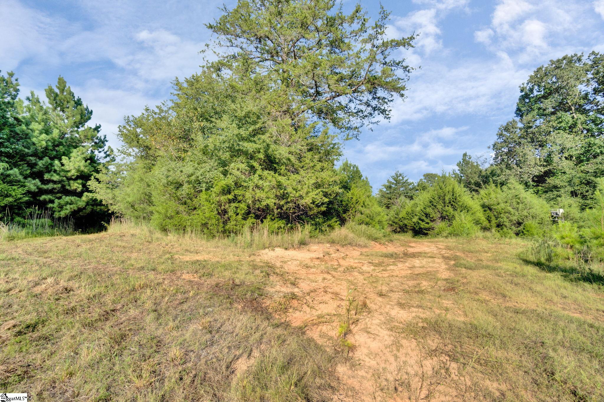 542 Browns Creek Church Road Property Photo 19