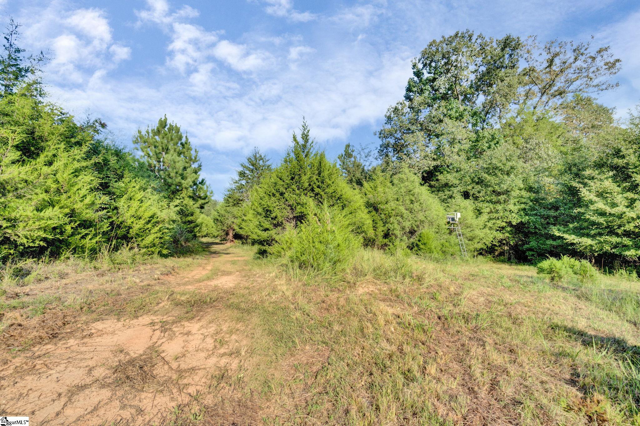 542 Browns Creek Church Road Property Photo 20
