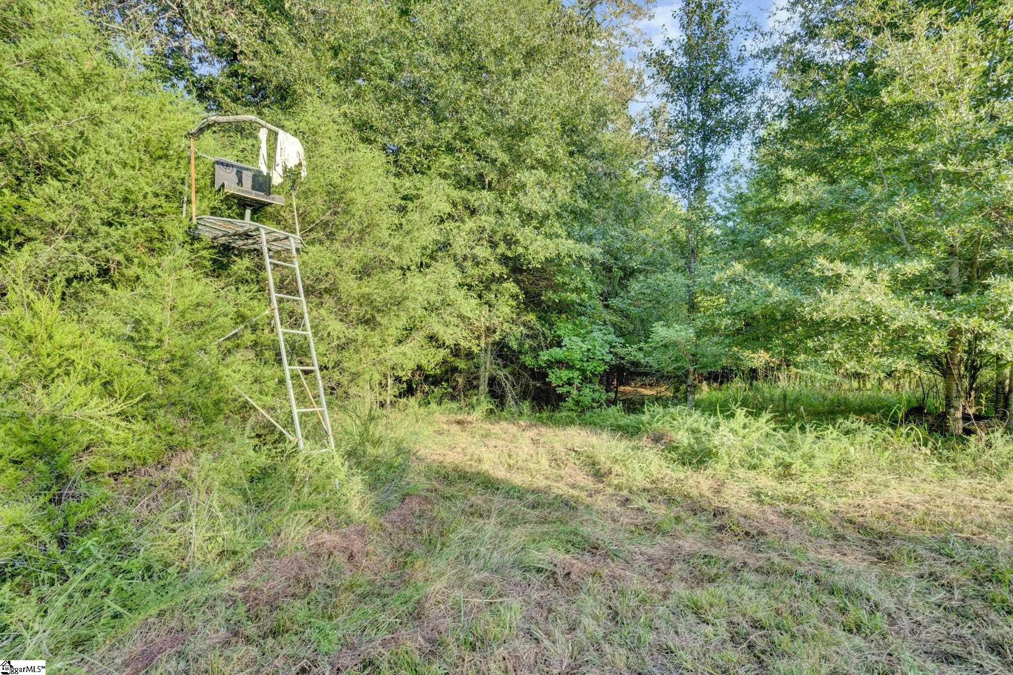 542 Browns Creek Church Road Property Photo 24