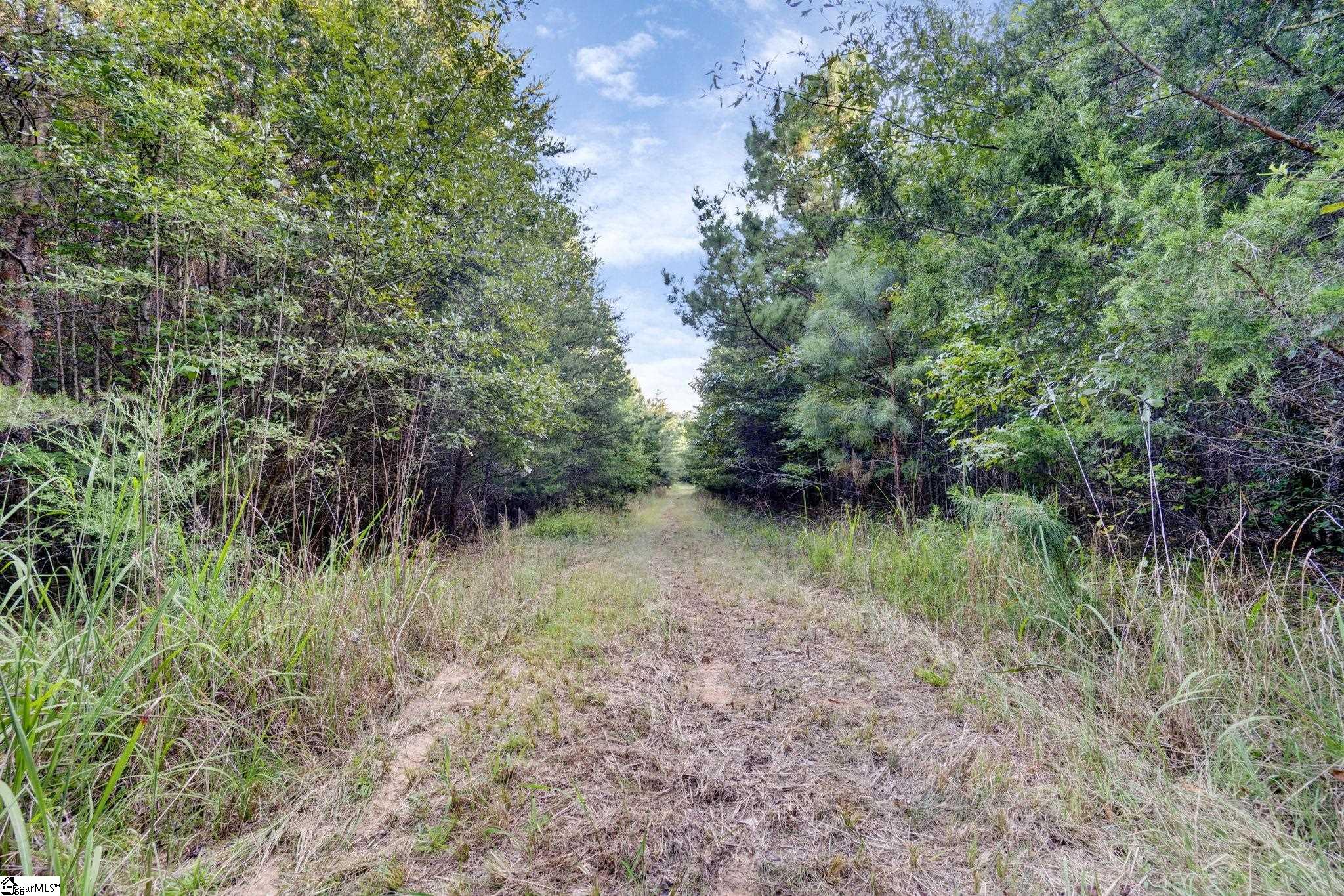 542 Browns Creek Church Road Property Photo 25
