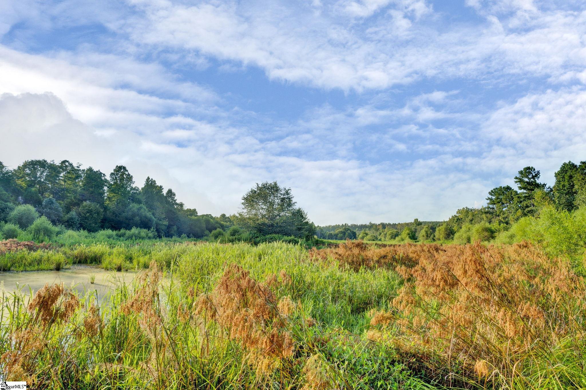 542 Browns Creek Church Road Property Photo 26