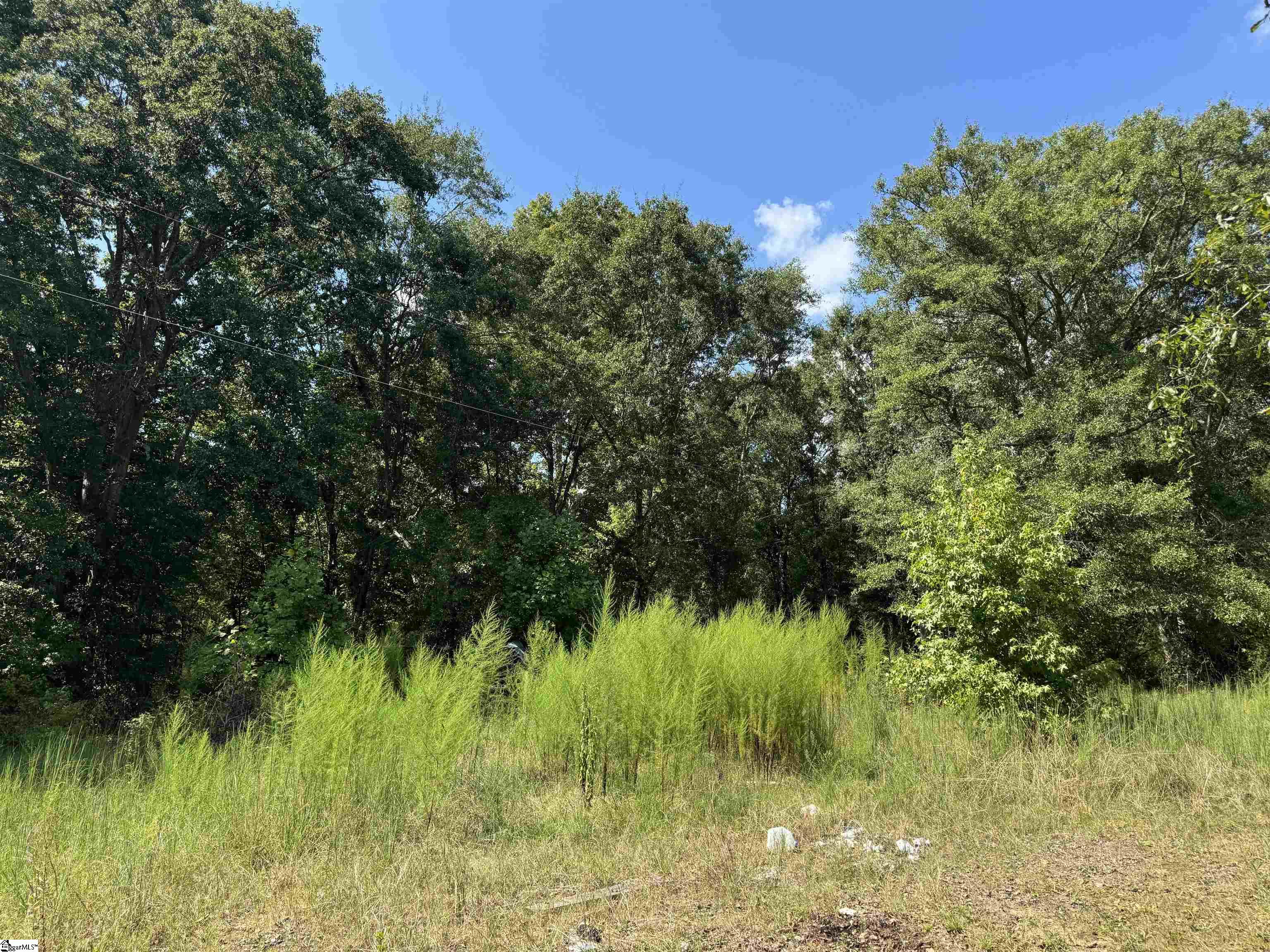 4174 Georgia Road Property Photo 4